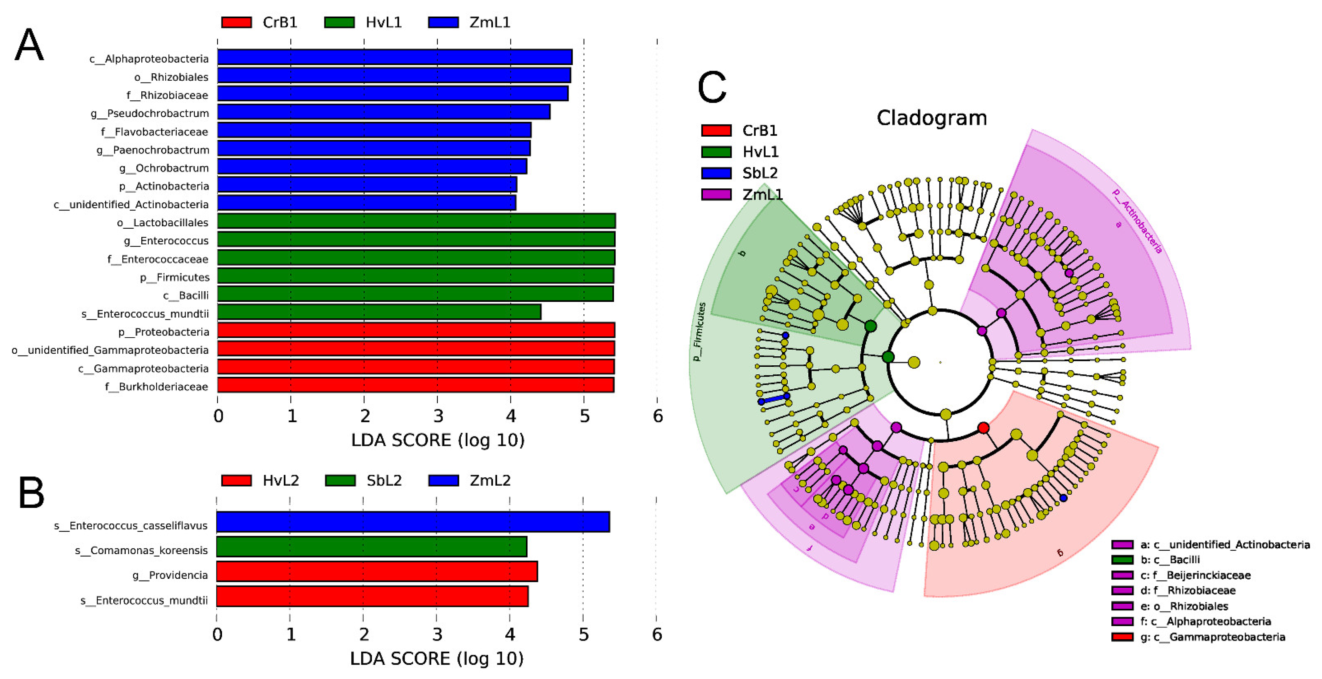 Genes 14 00321 g005 Genes 14 00321 g005