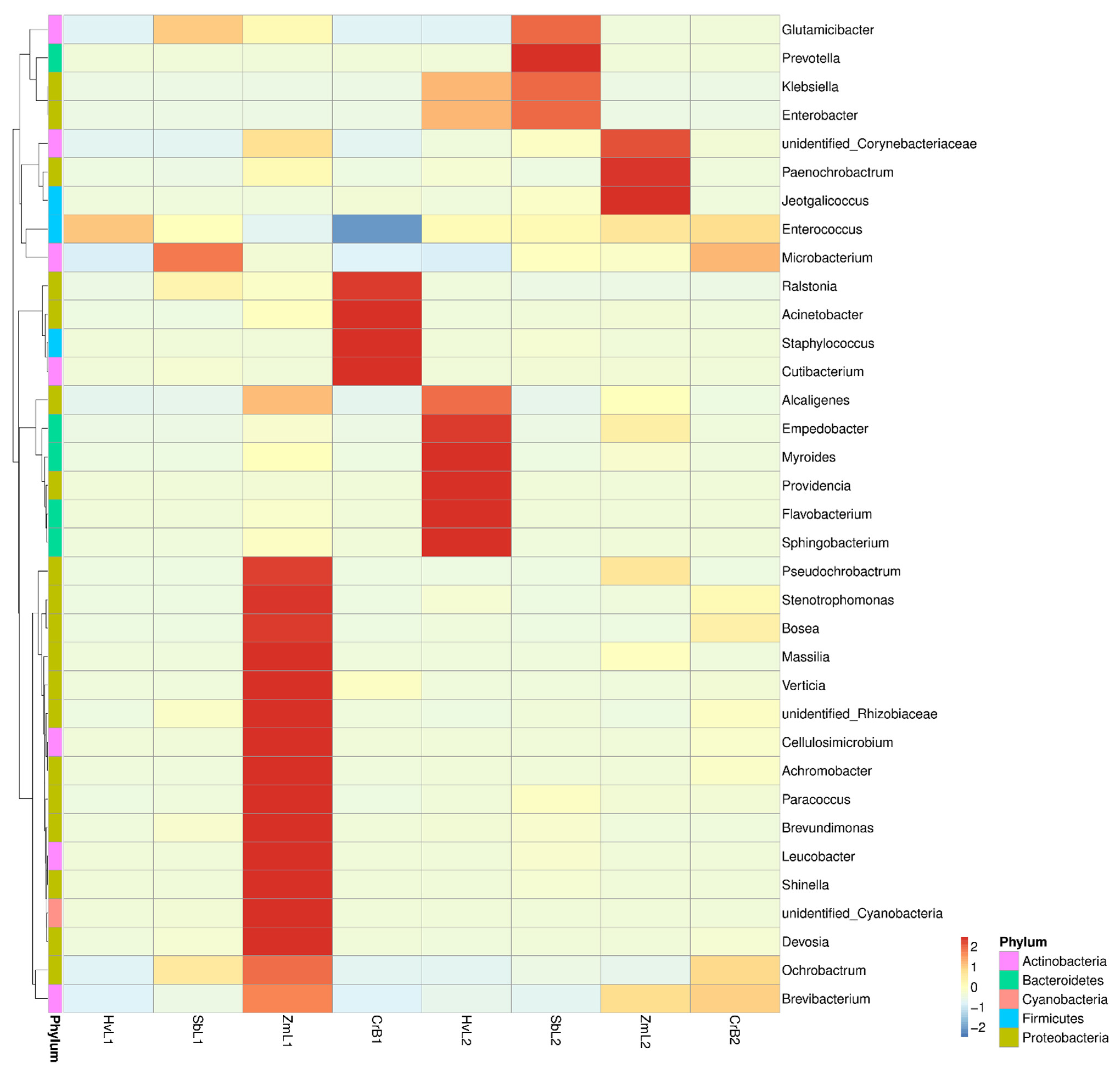 Genes 14 00321 g006 Genes 14 00321 g006