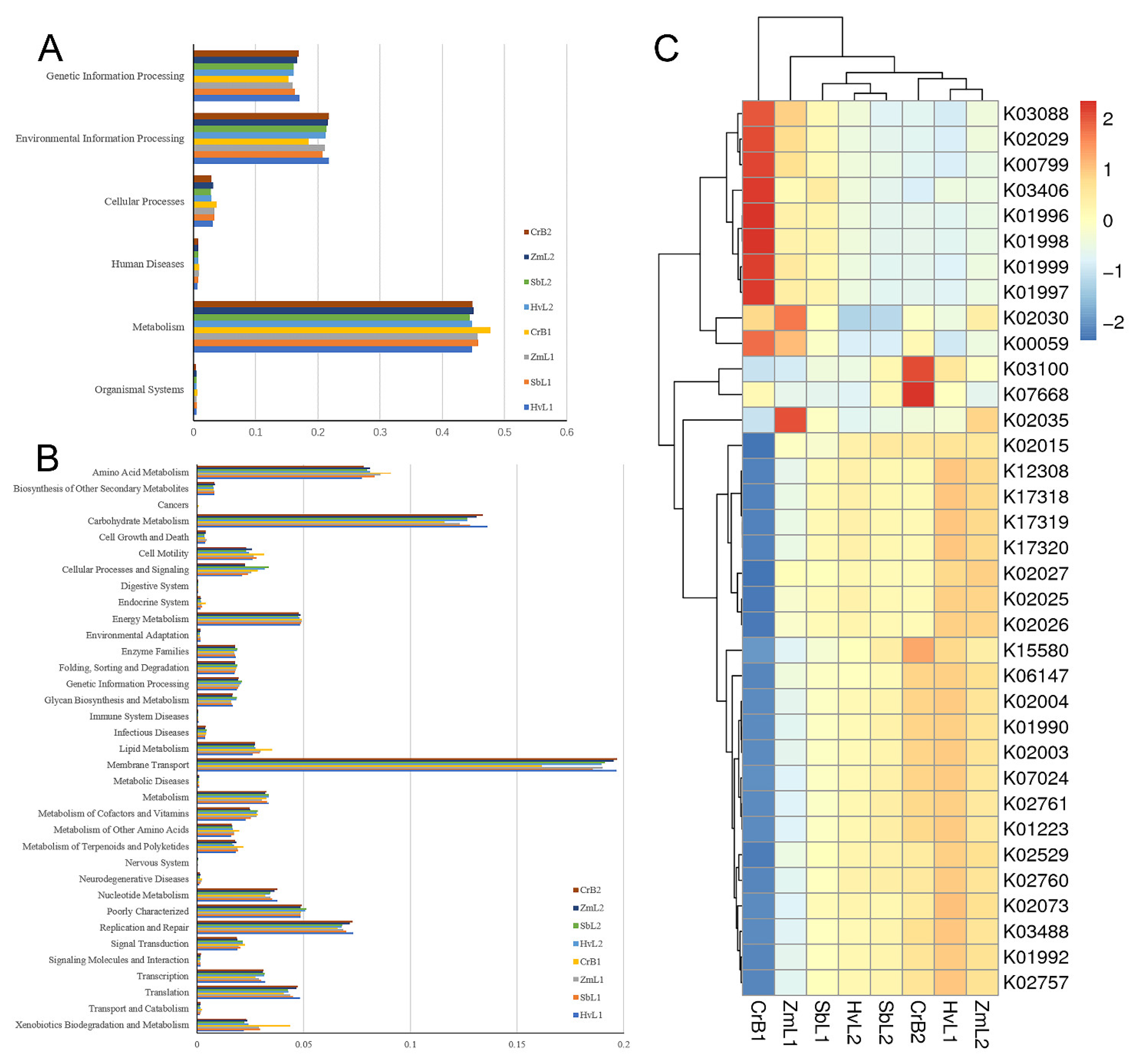 Genes 14 00321 g007 Genes 14 00321 g007