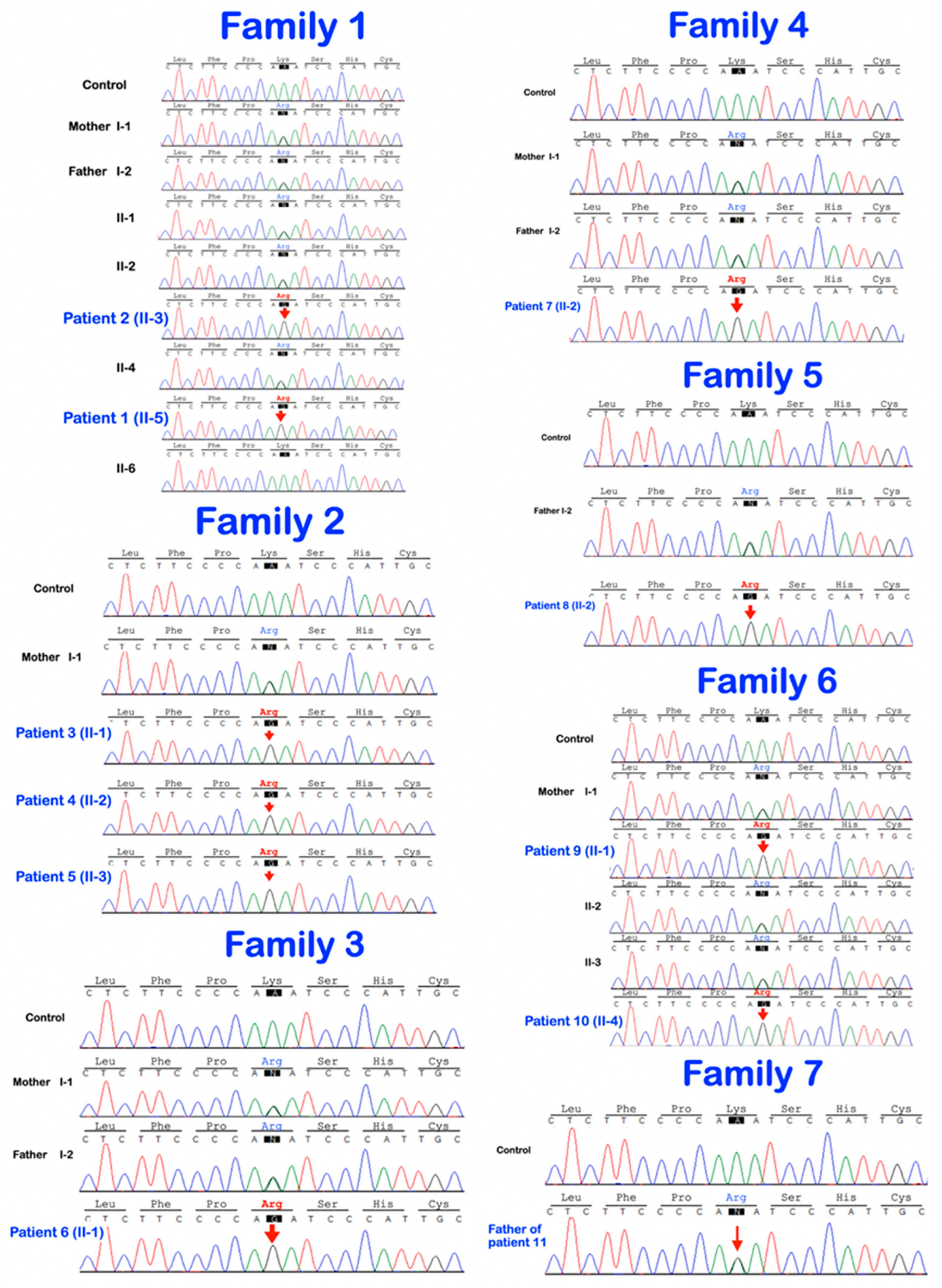 Genes 14 00322 g008 Genes 14 00322 g008