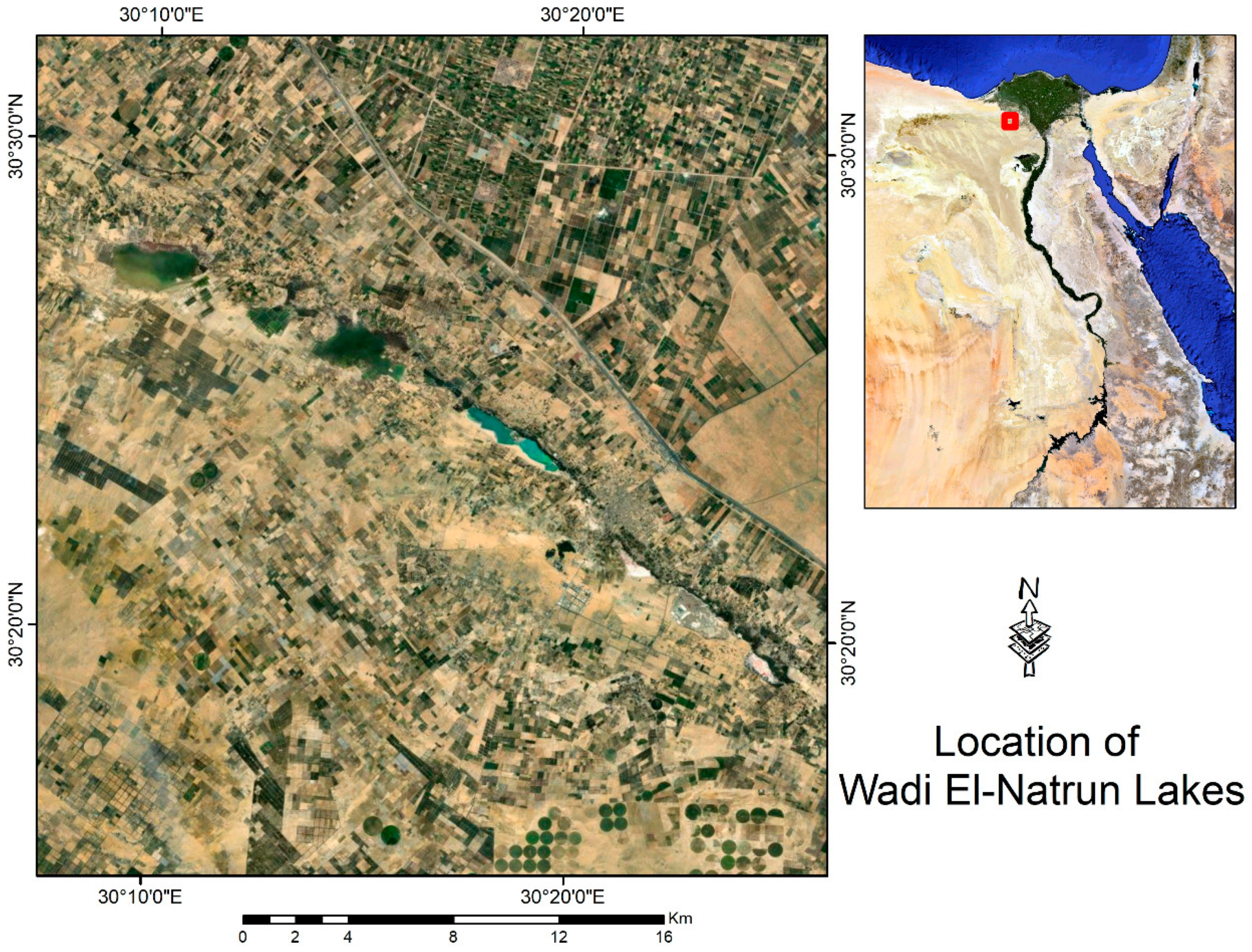 Genes 14 00323 g001 Genes 14 00323 g001