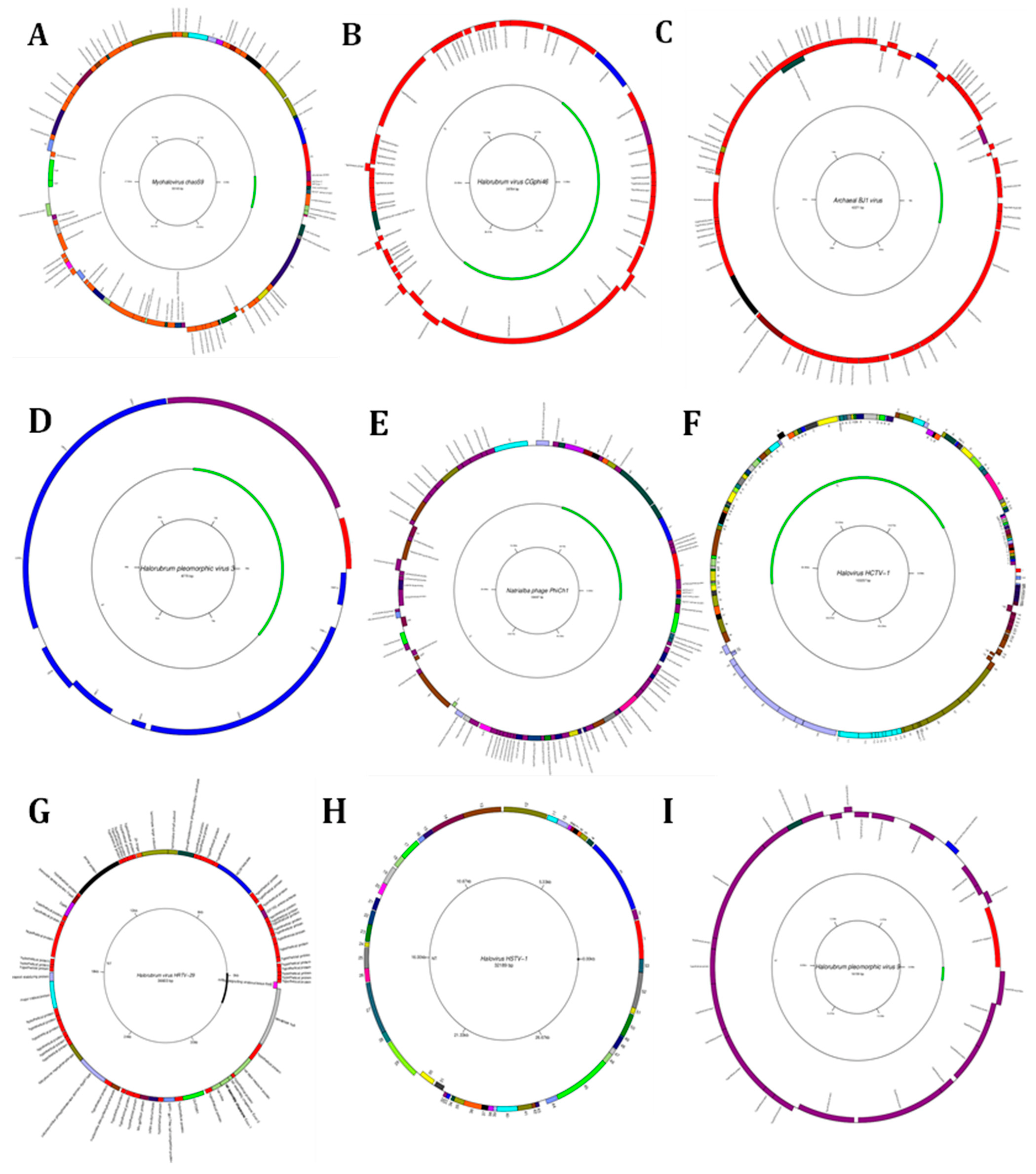Genes 14 00323 g005a Genes 14 00323 g005a