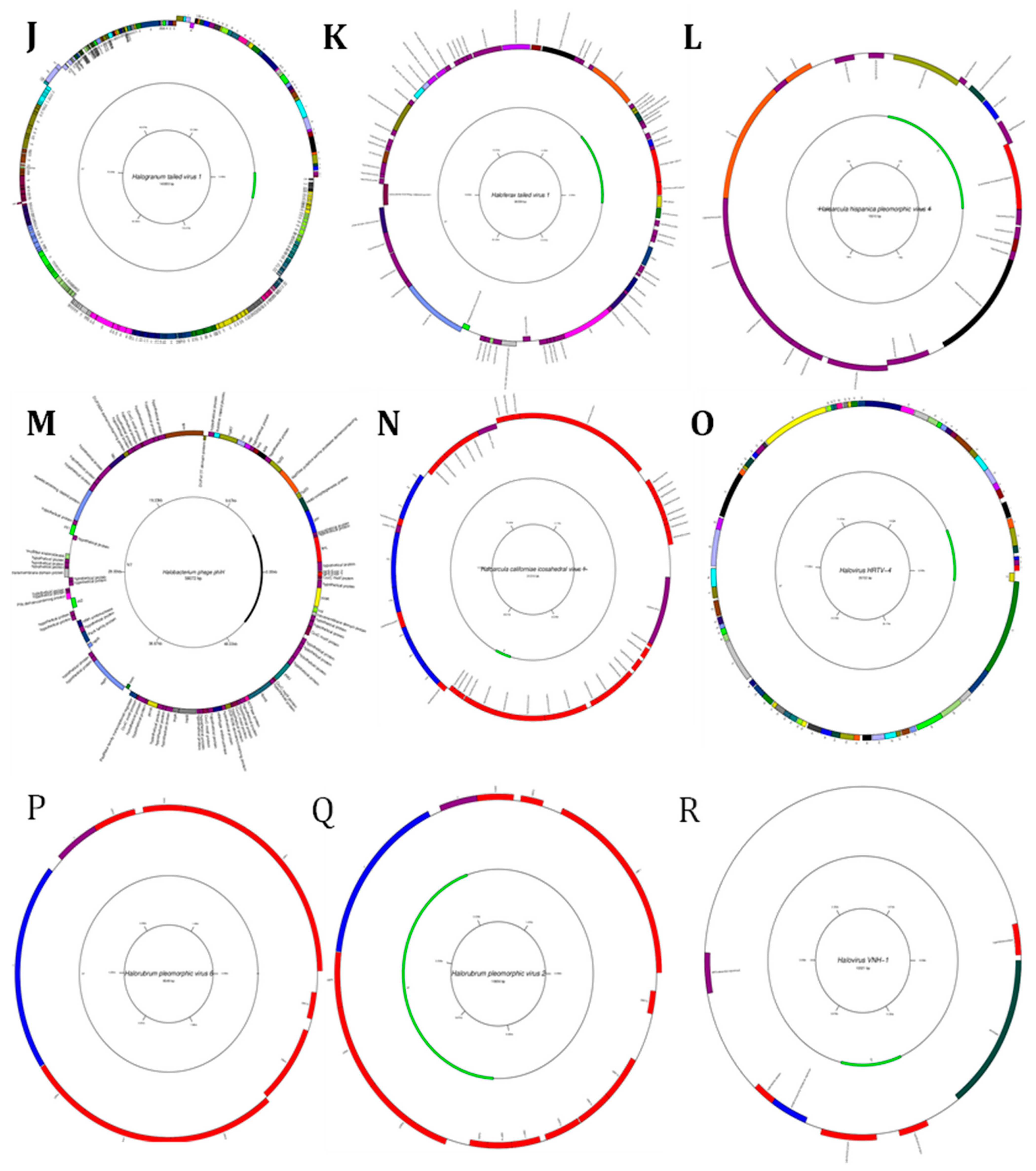 Genes 14 00323 g005b Genes 14 00323 g005b