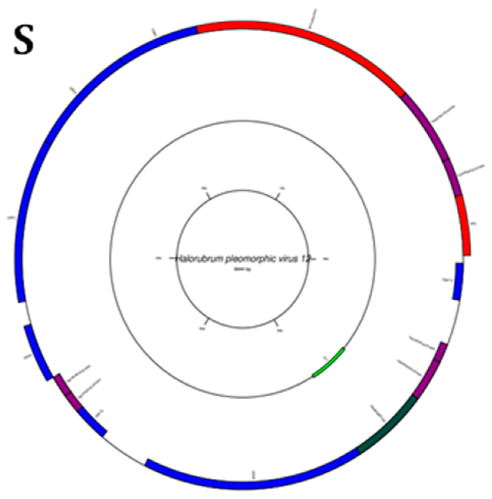 Genes 14 00323 g005c Genes 14 00323 g005c