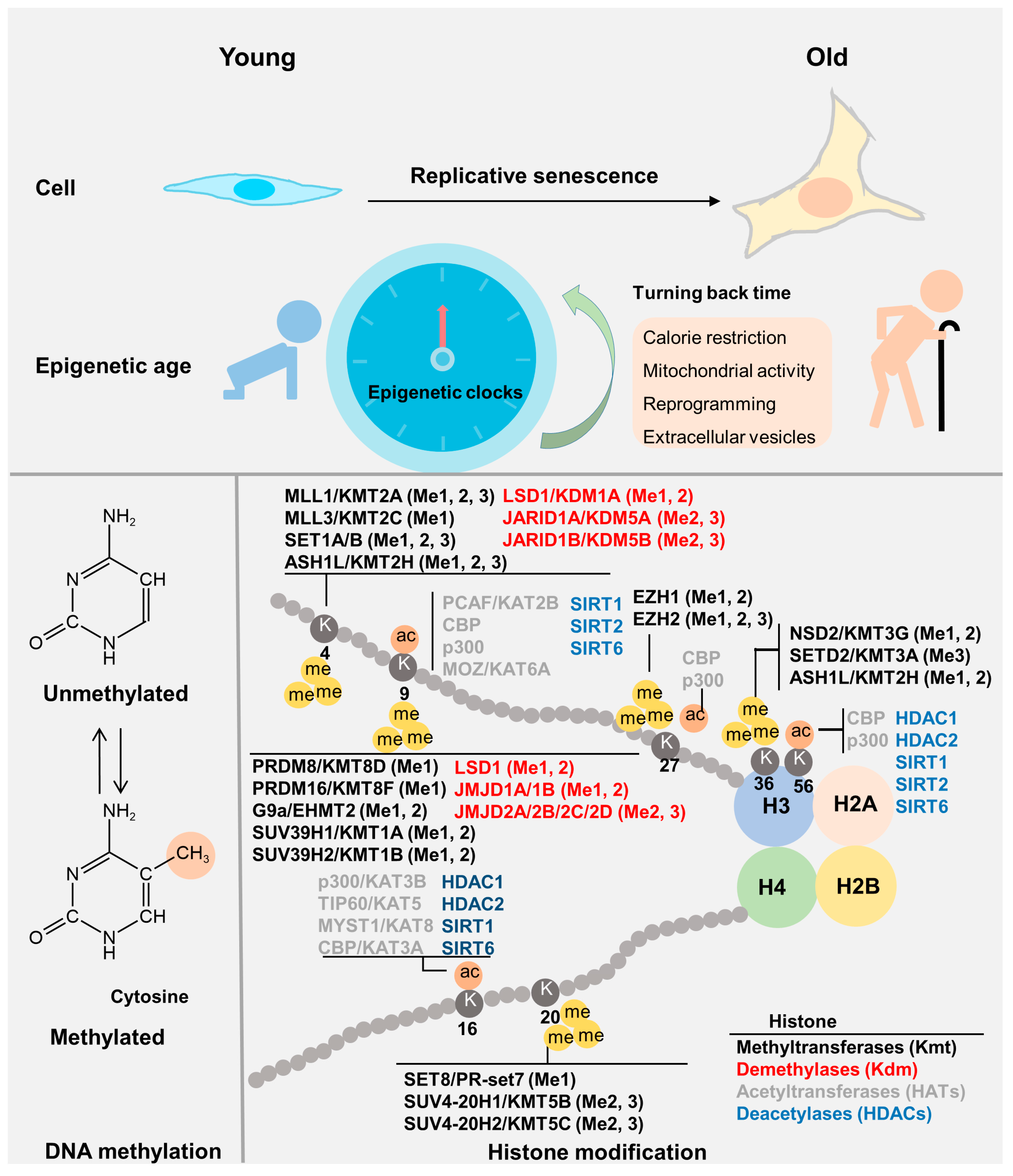 Genes 14 00329 g002 Genes 14 00329 g002