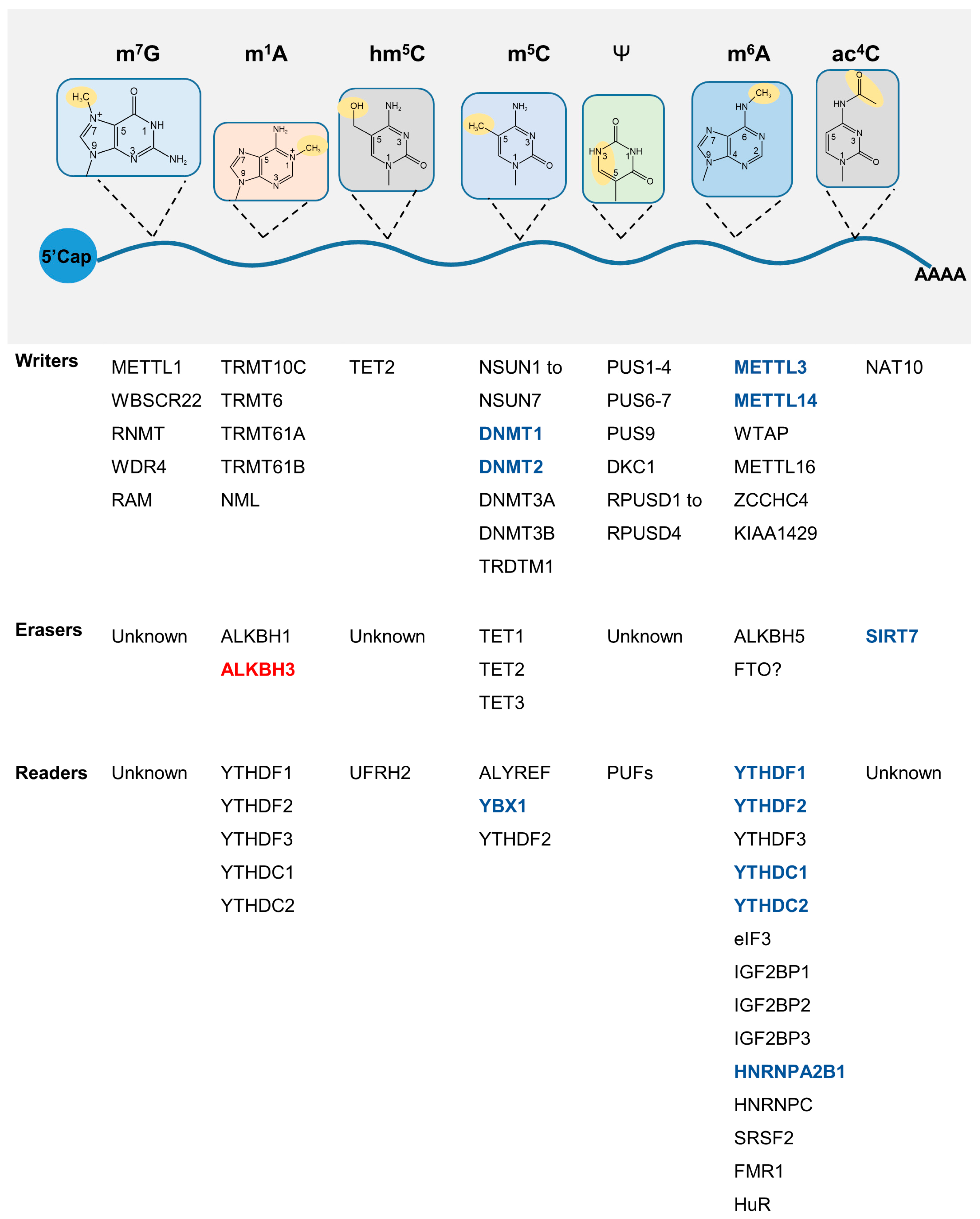 Genes 14 00329 g003 Genes 14 00329 g003