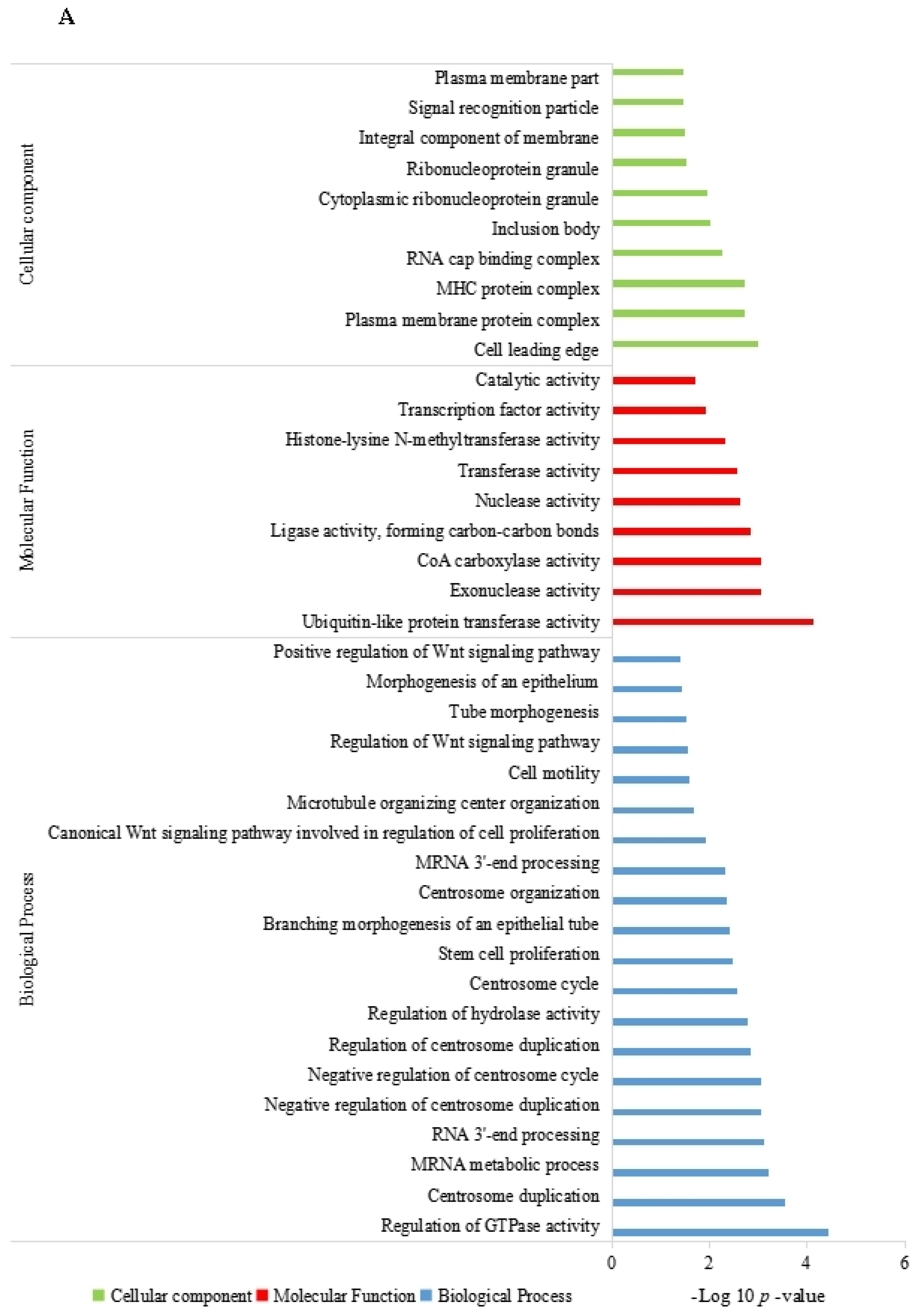 Genes 14 00331 g004a