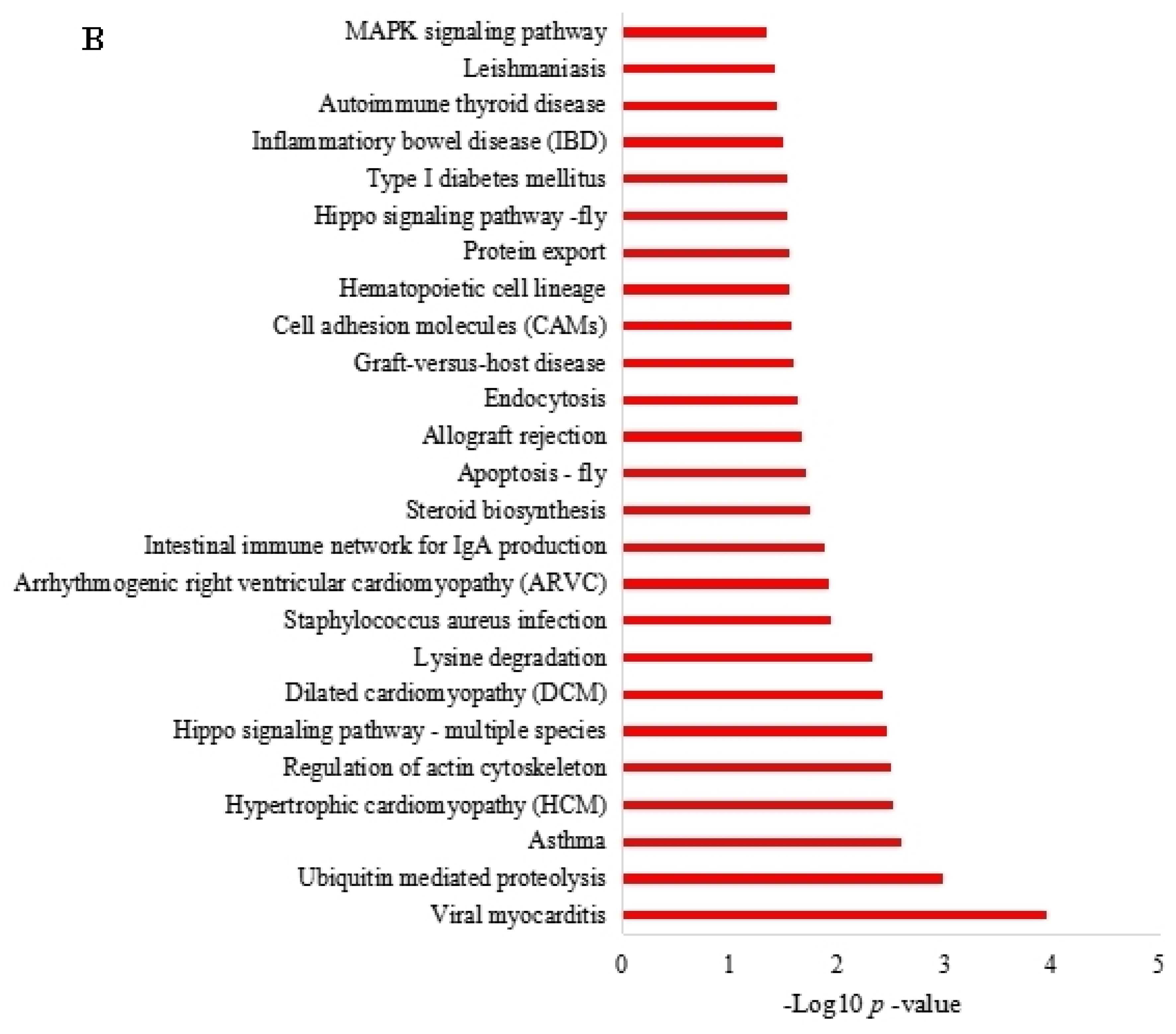 Genes 14 00331 g004b