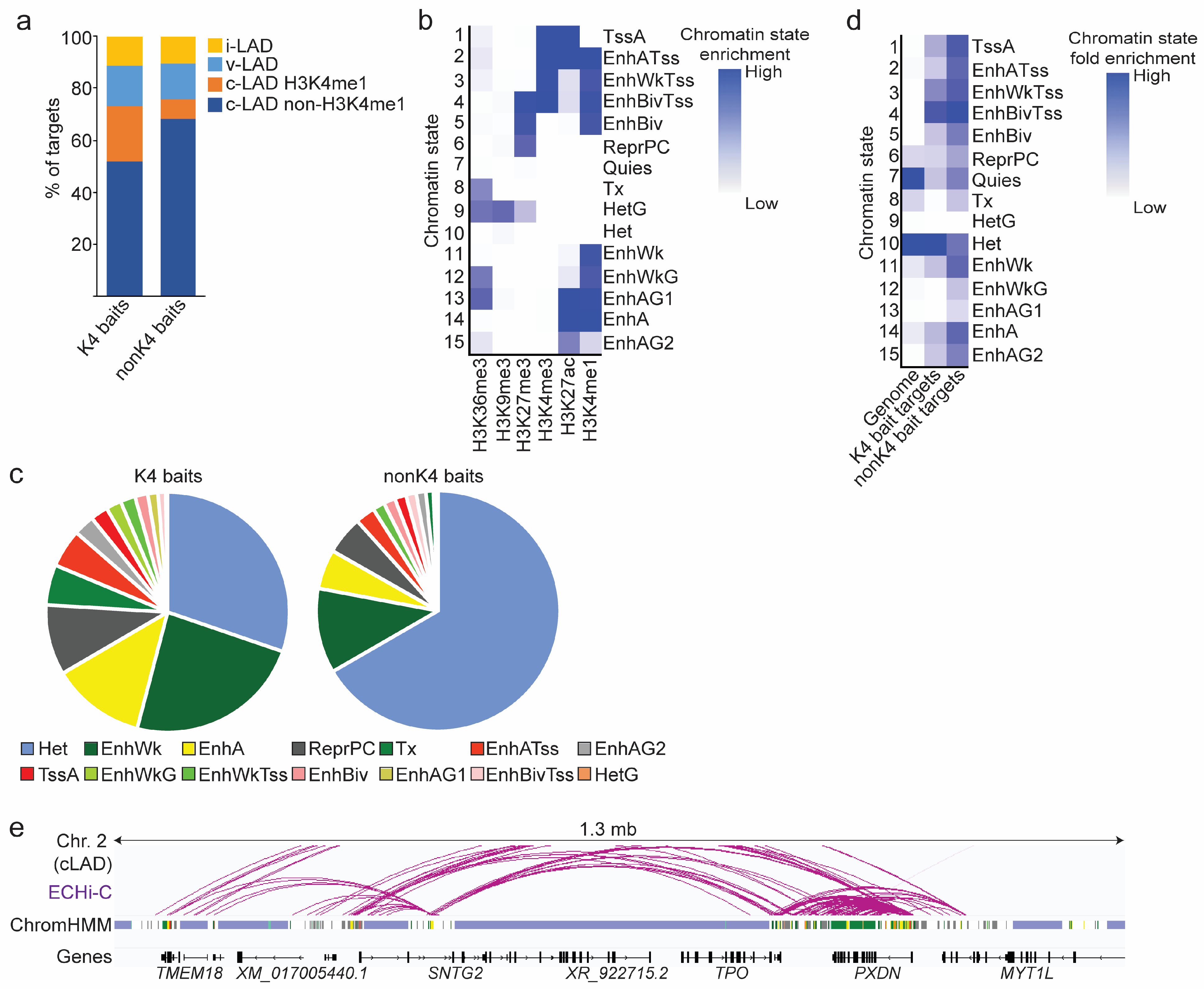 Genes 14 00334 g004