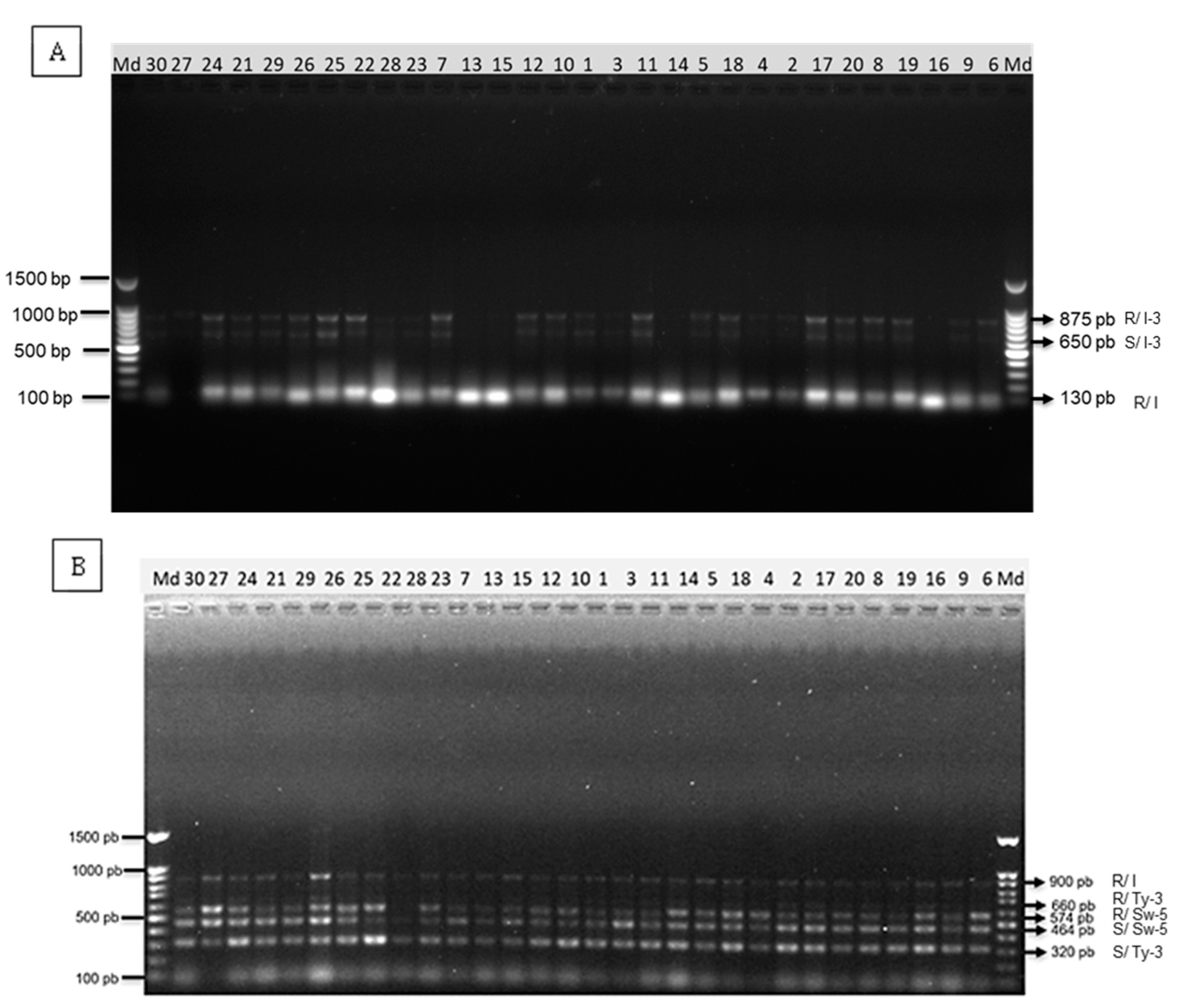 Genes 14 00337 g001 Genes 14 00337 g001
