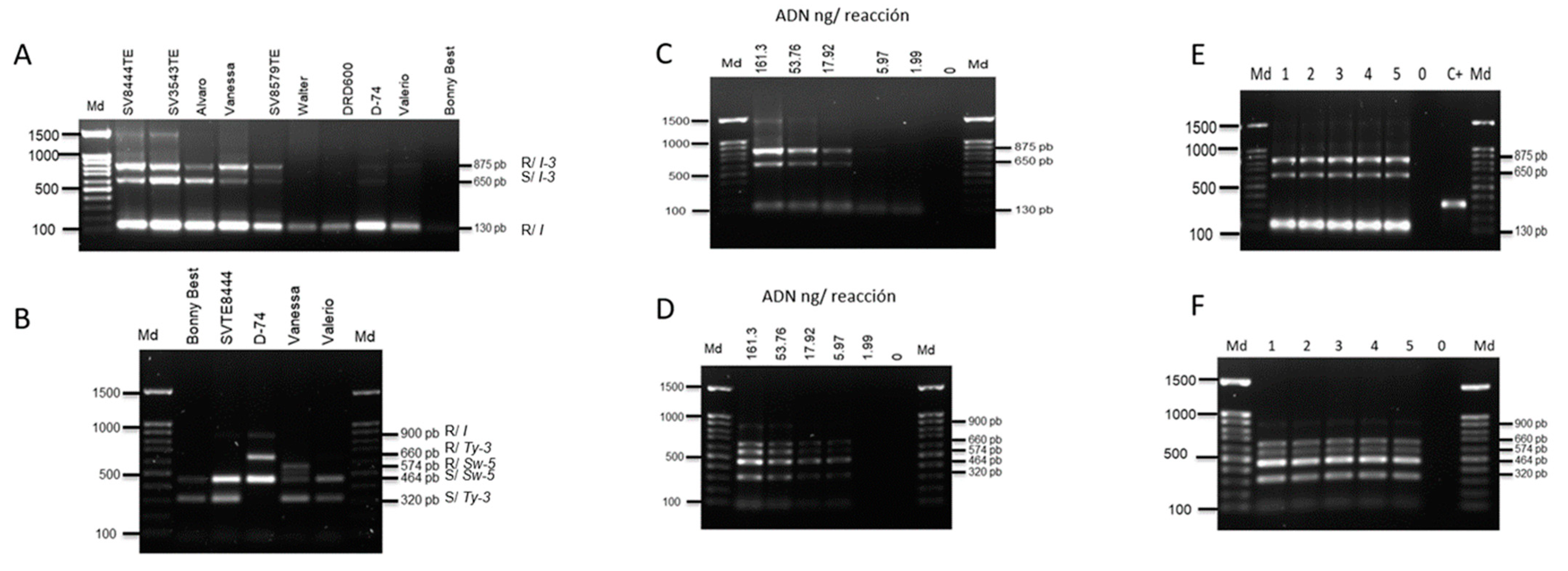 Genes 14 00337 g004 Genes 14 00337 g004