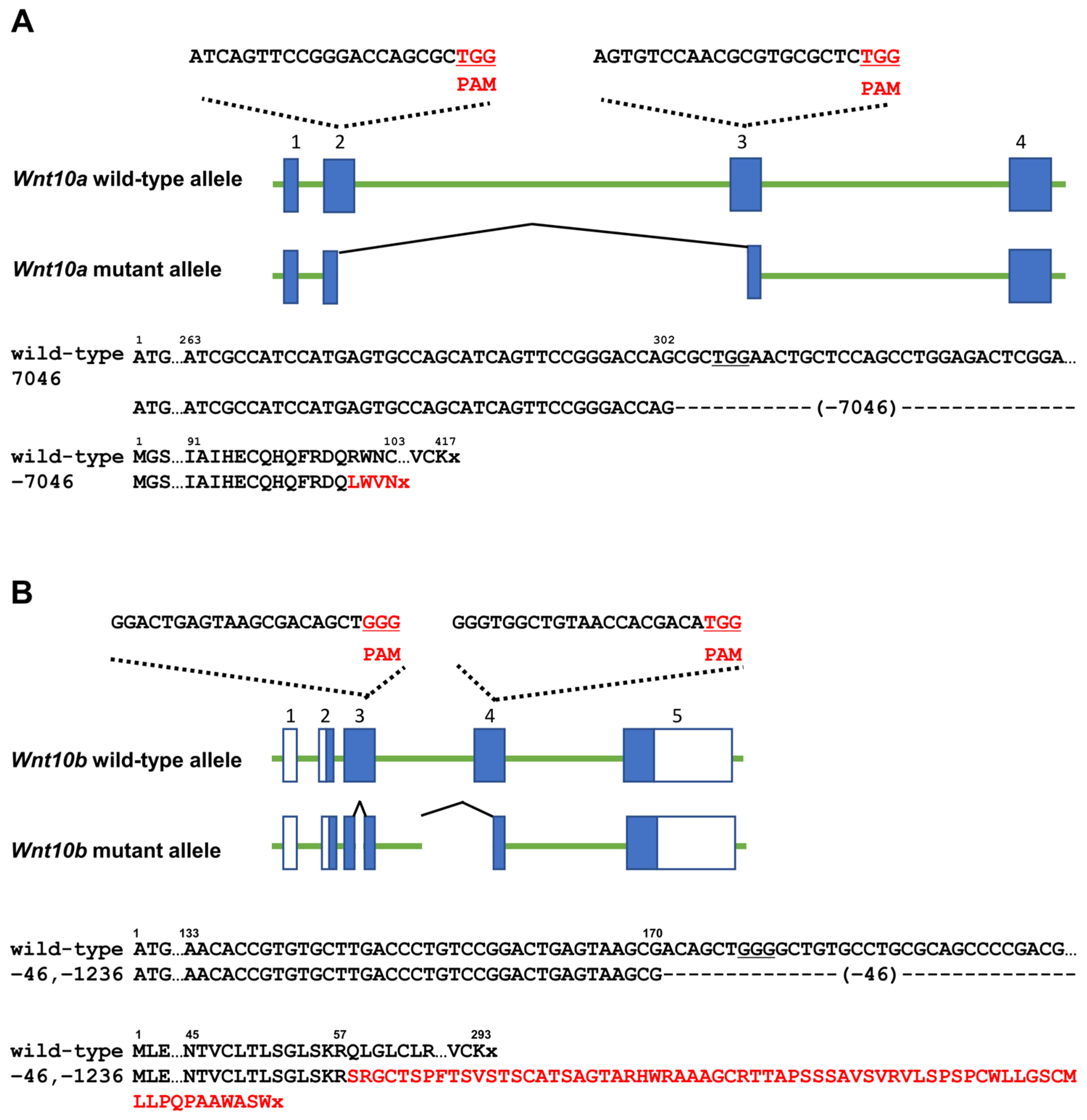 Genes 14 00340 g001