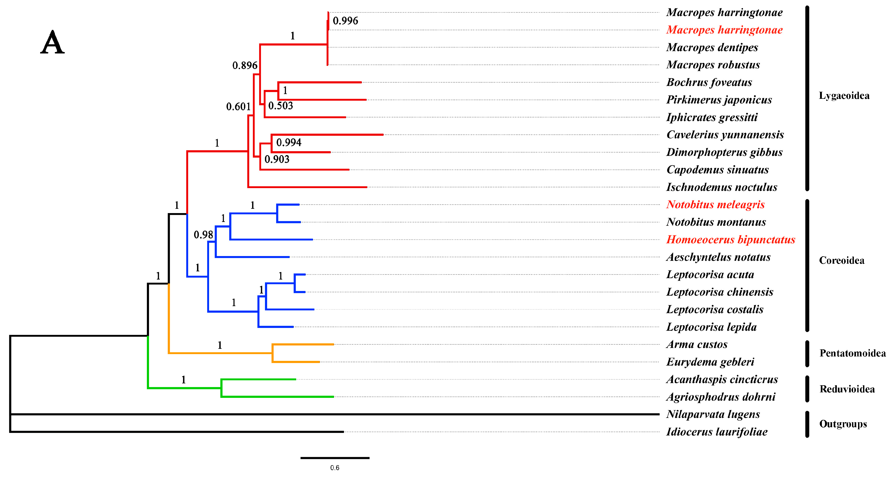 Genes 14 00342 g007a