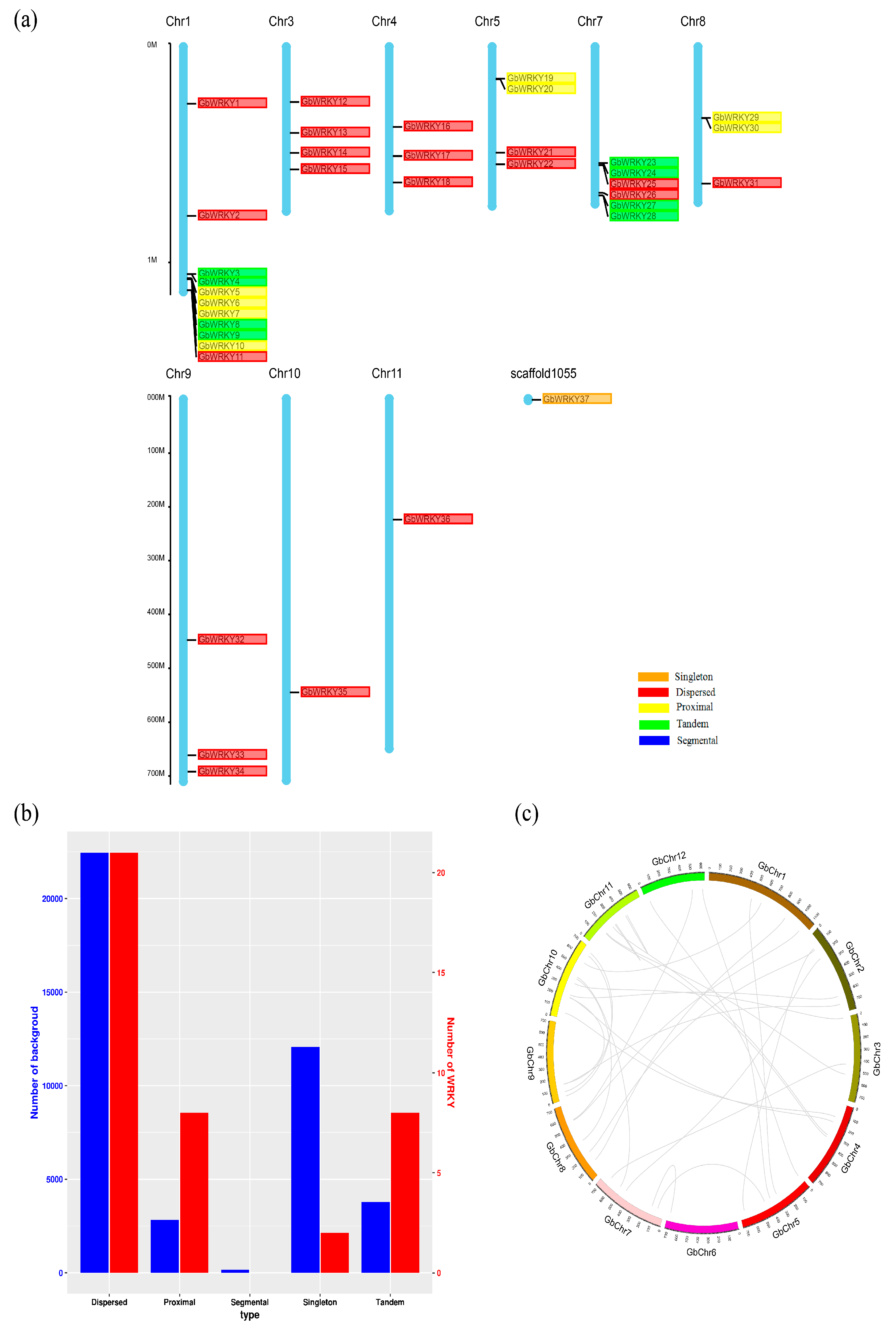 Genes 14 00343 g001 Genes 14 00343 g001