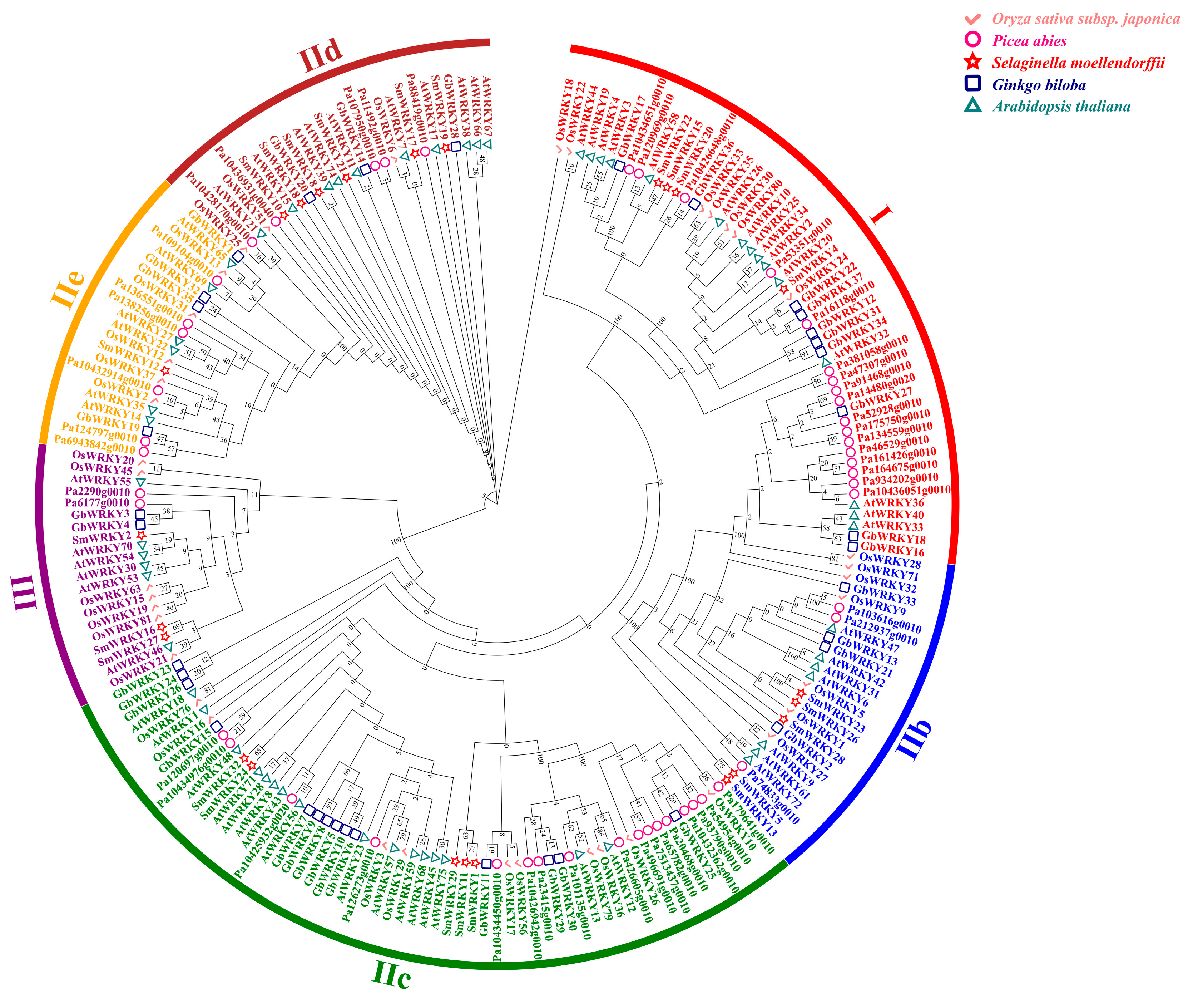 Genes 14 00343 g003 Genes 14 00343 g003