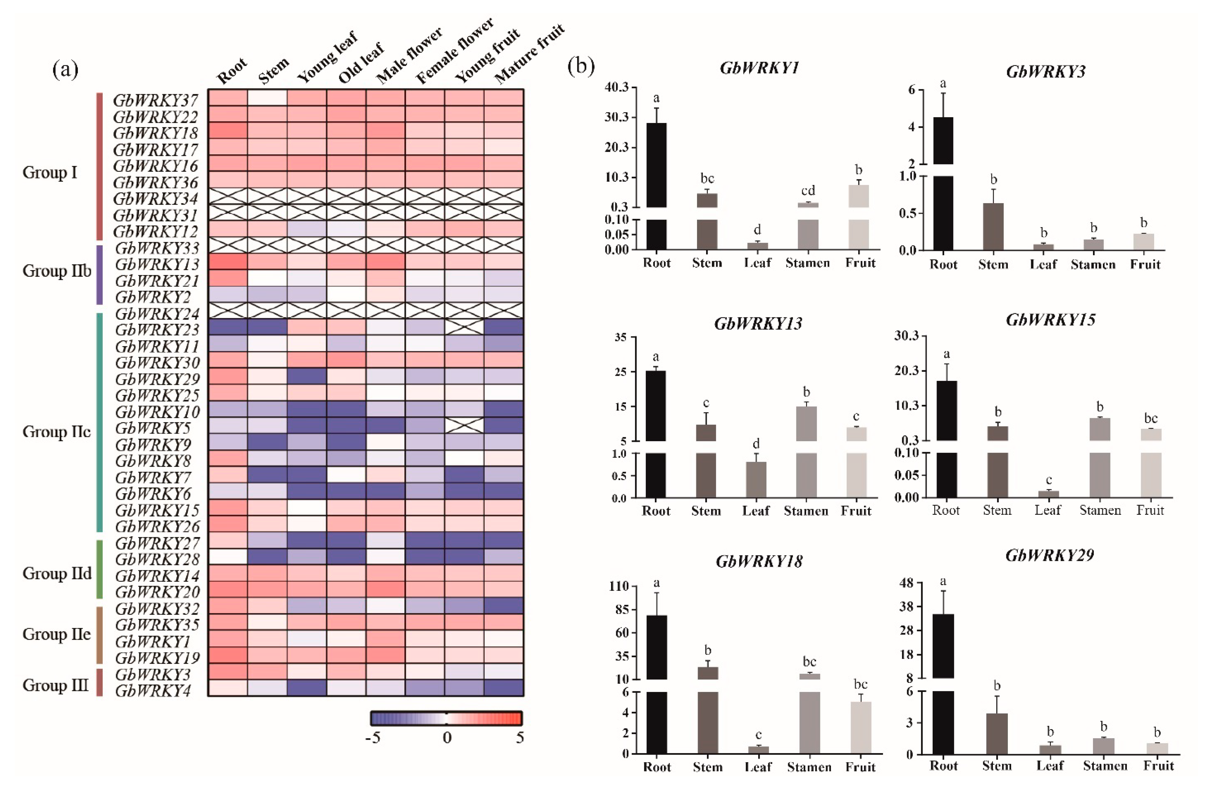 Genes 14 00343 g004 Genes 14 00343 g004