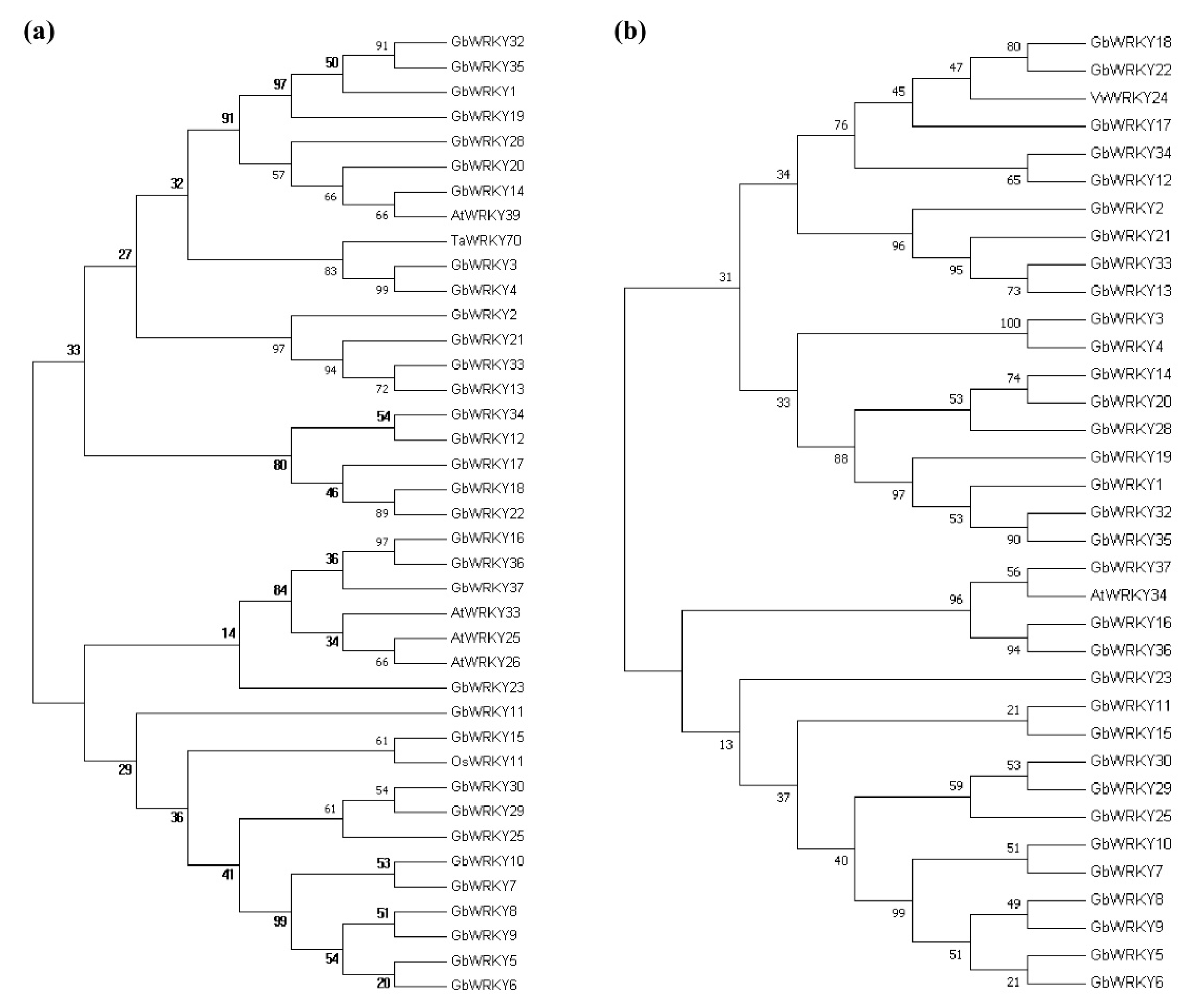 Genes 14 00343 g008 Genes 14 00343 g008