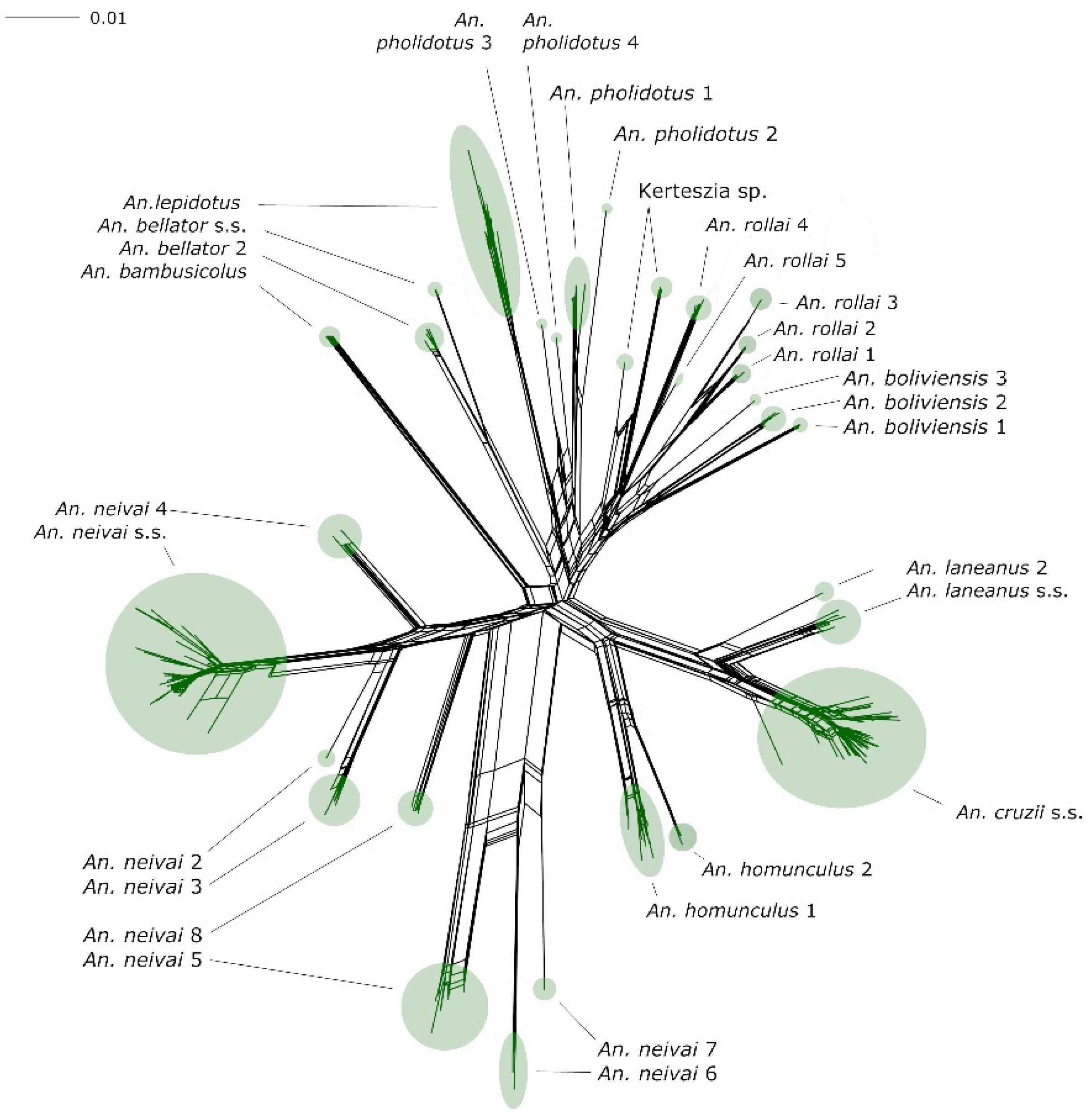 Genes 14 00344 g001 Genes 14 00344 g001