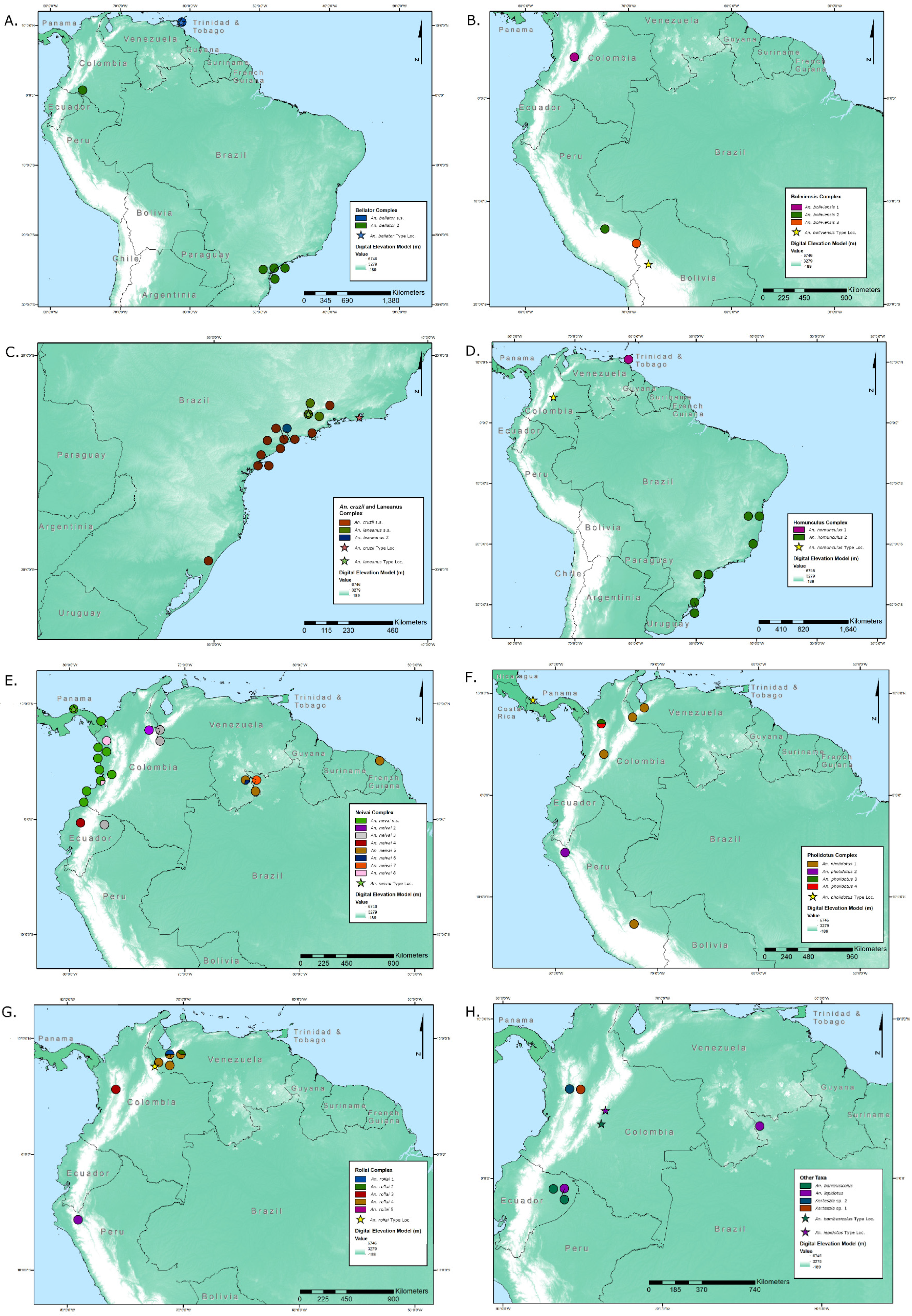 Genes 14 00344 g003 Genes 14 00344 g003