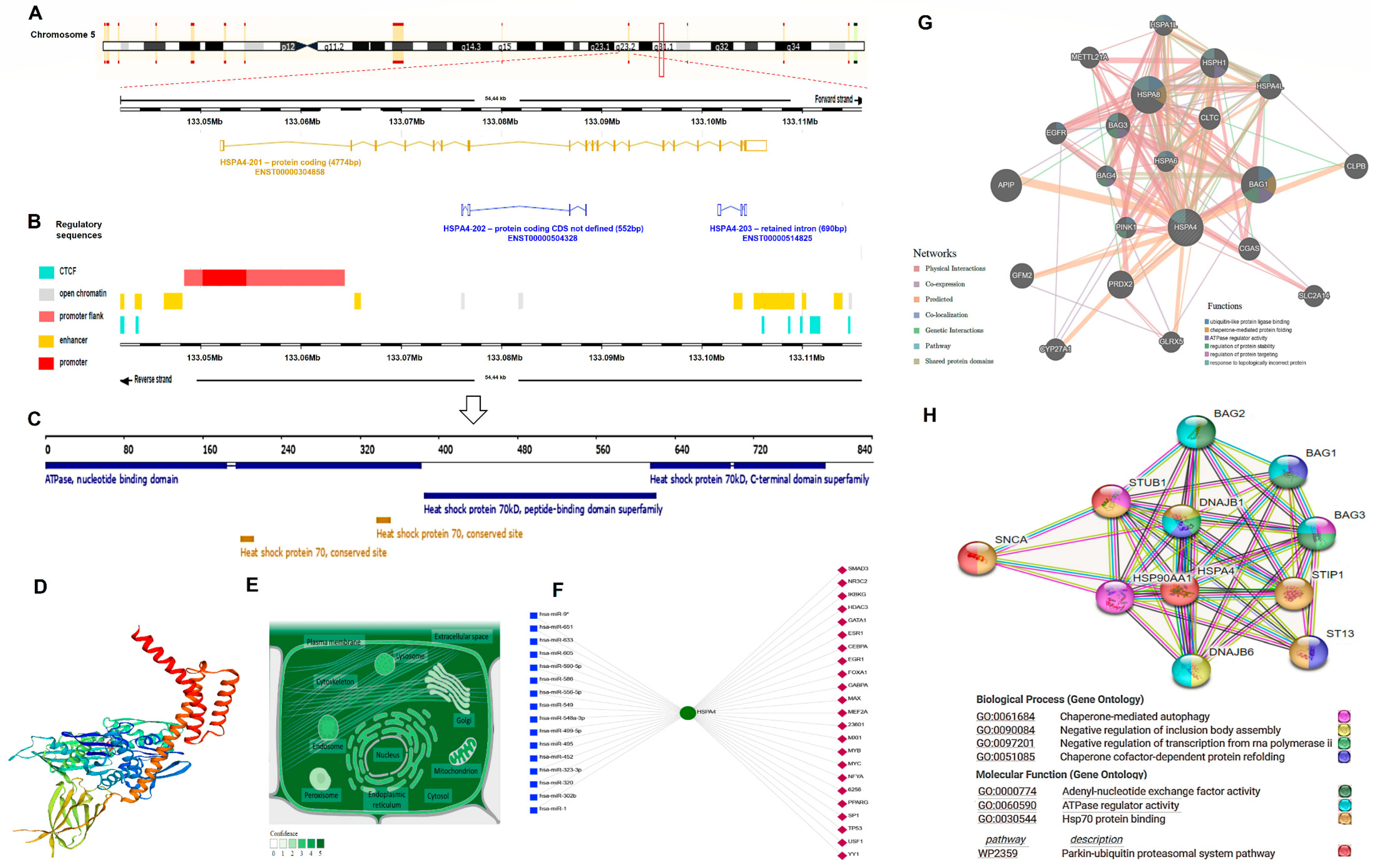 Genes 14 00355 g006