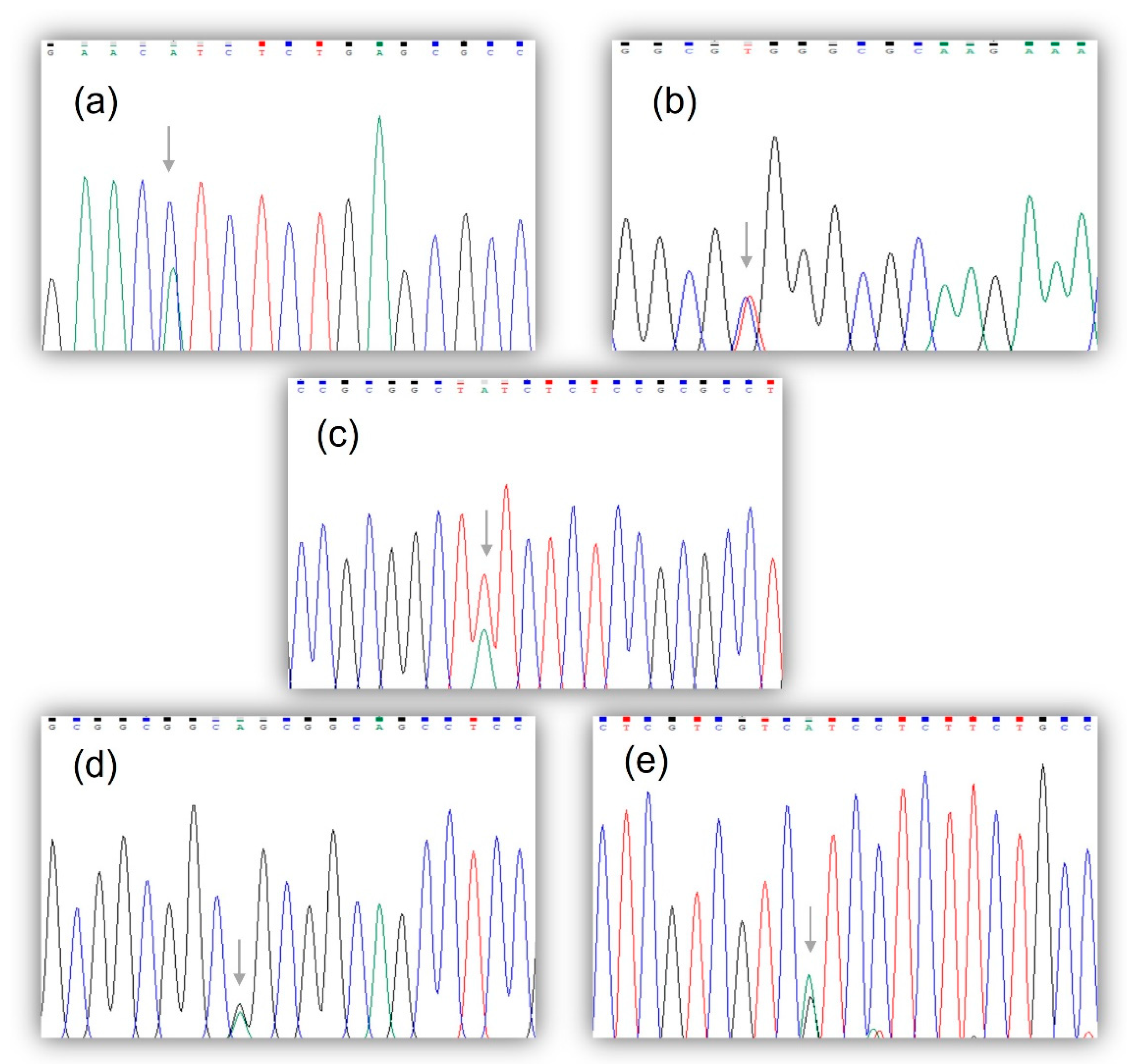Genes 14 00358 g001 Genes 14 00358 g001