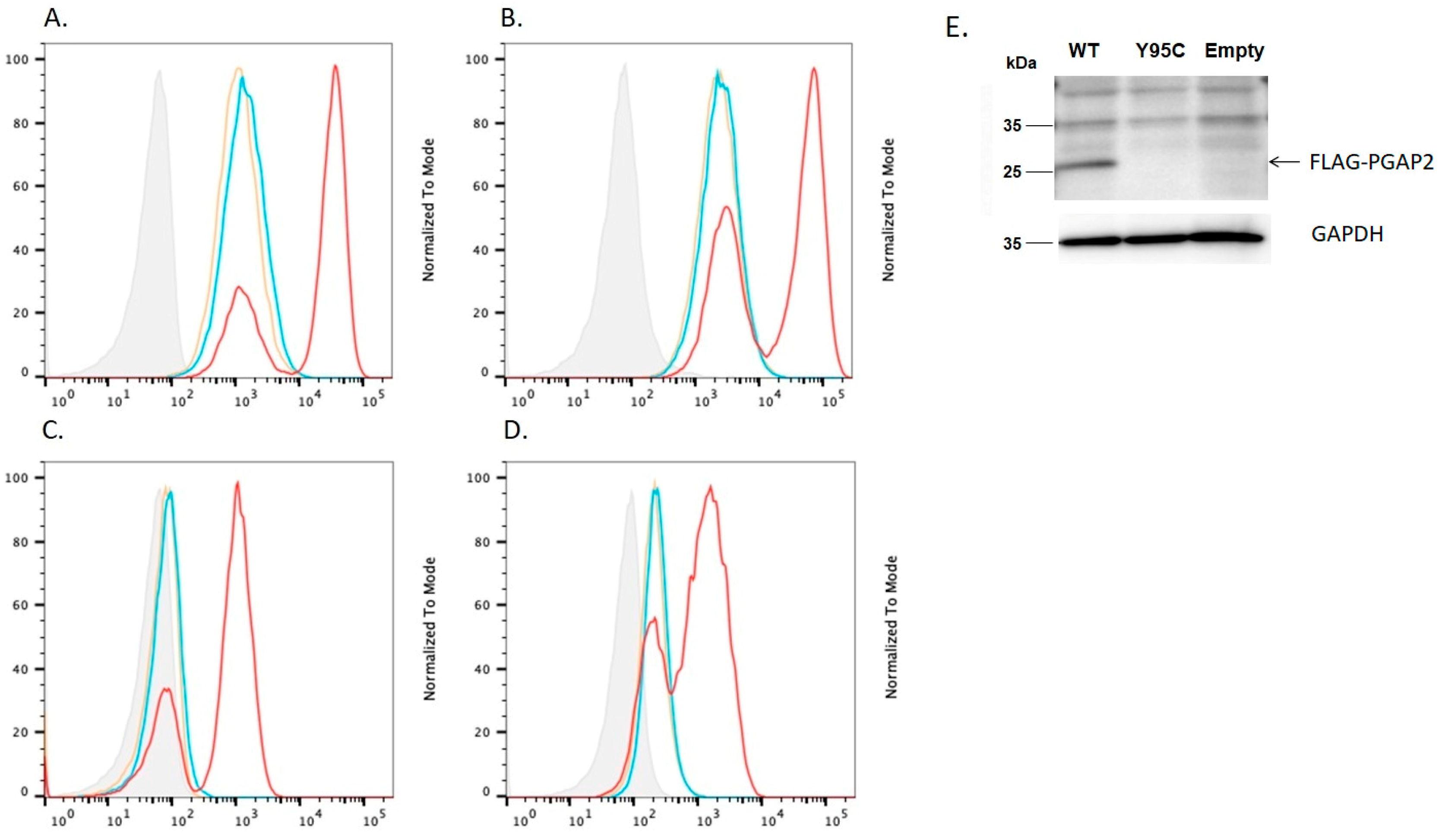 Genes 14 00359 g001 Genes 14 00359 g001