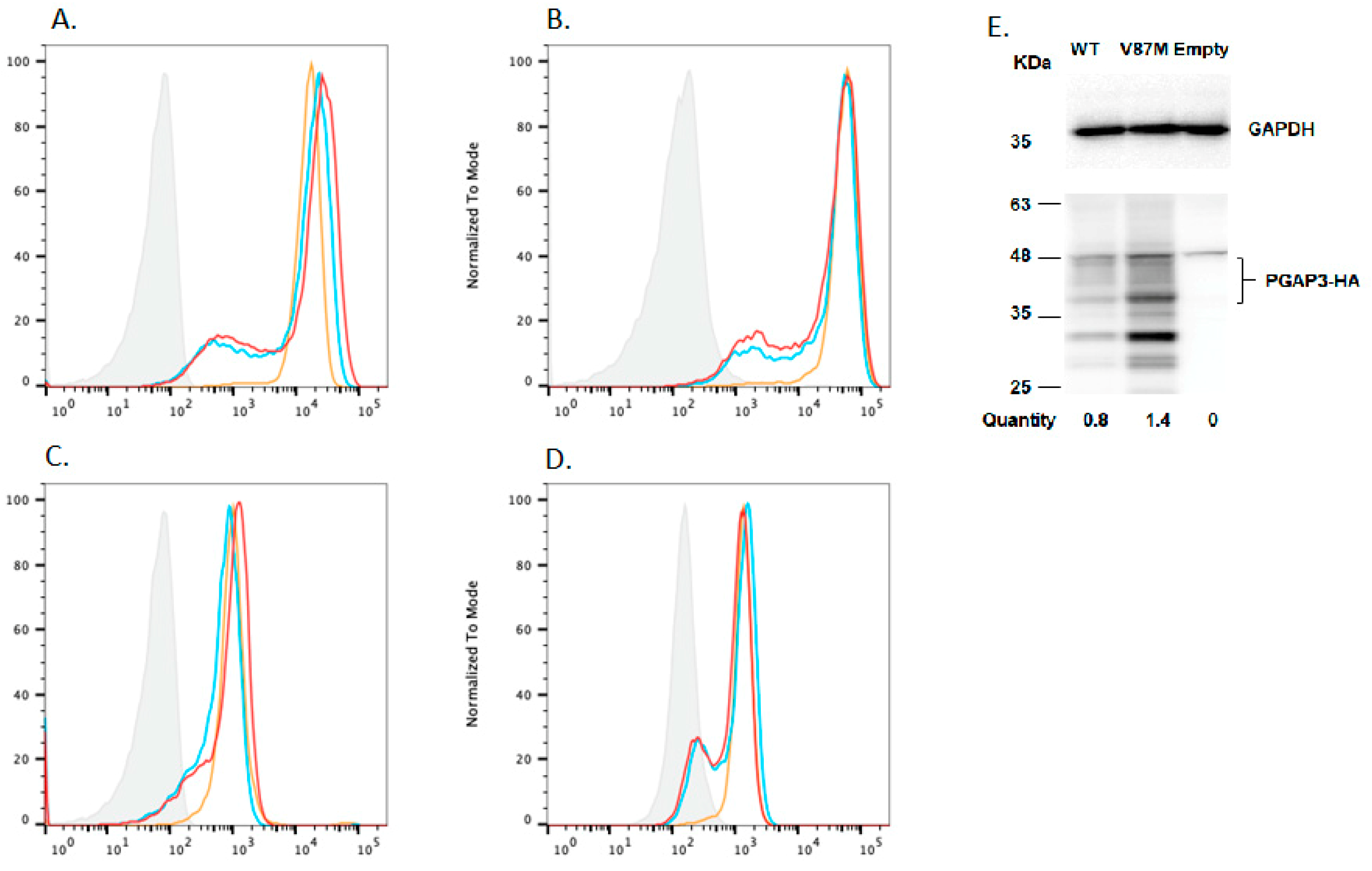 Genes 14 00359 g003 Genes 14 00359 g003