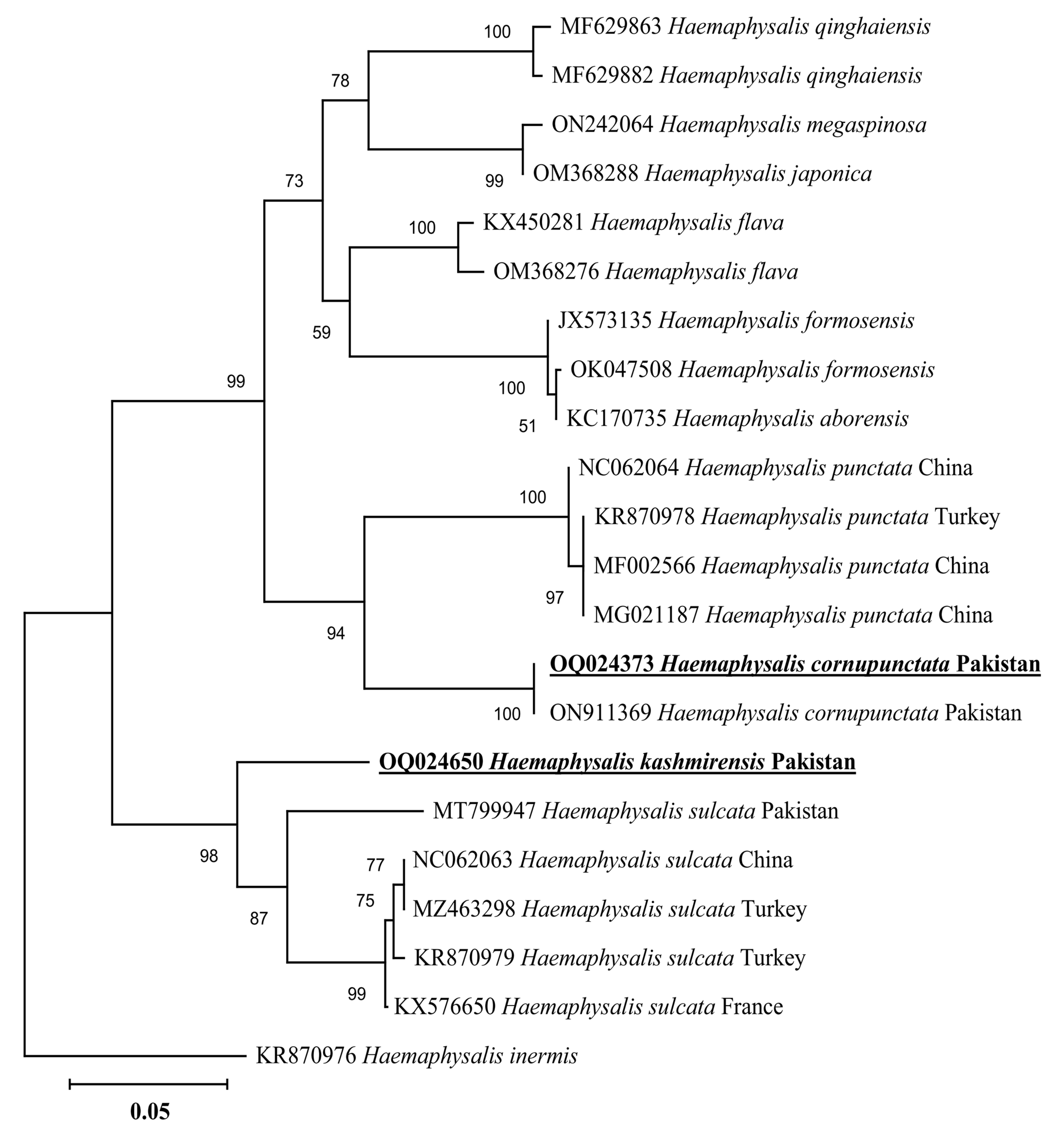Genes 14 00360 g003 Genes 14 00360 g003