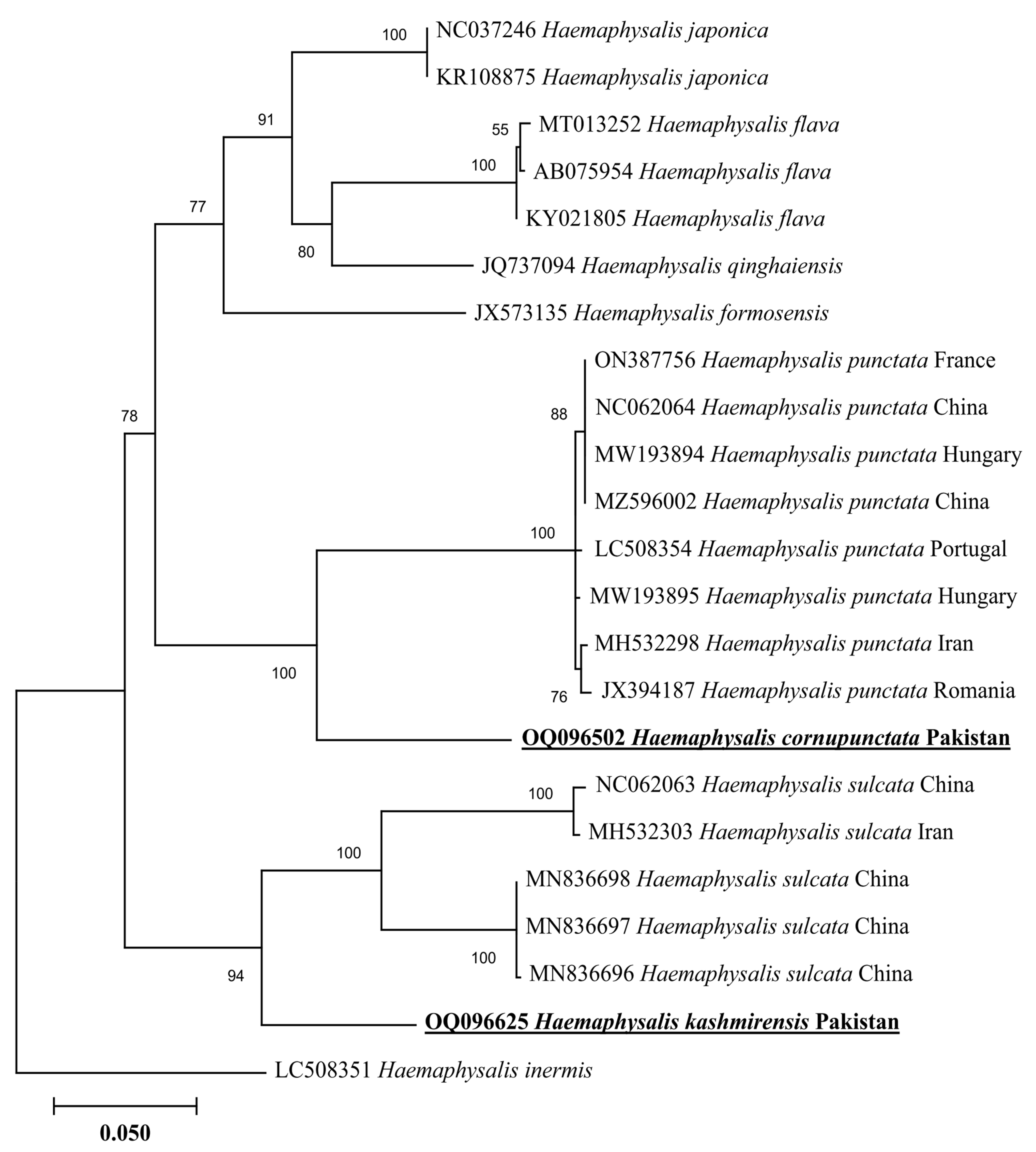 Genes 14 00360 g004 Genes 14 00360 g004
