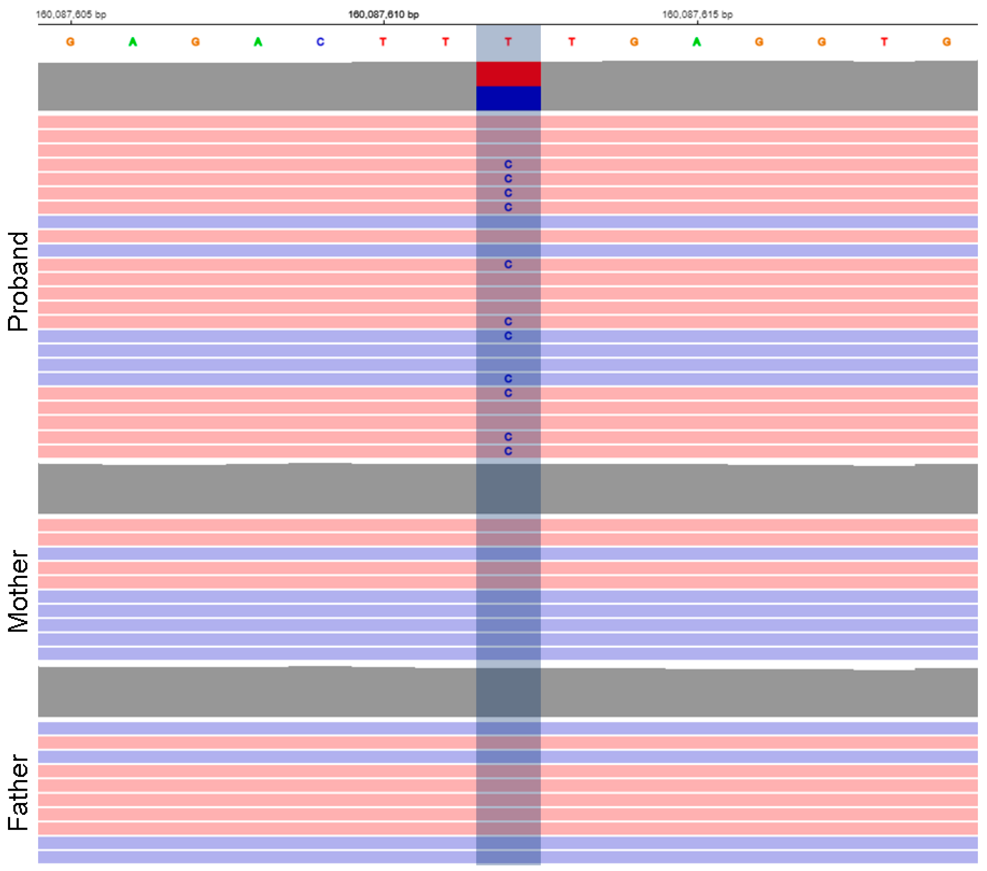 Genes 14 00366 g001 Genes 14 00366 g001