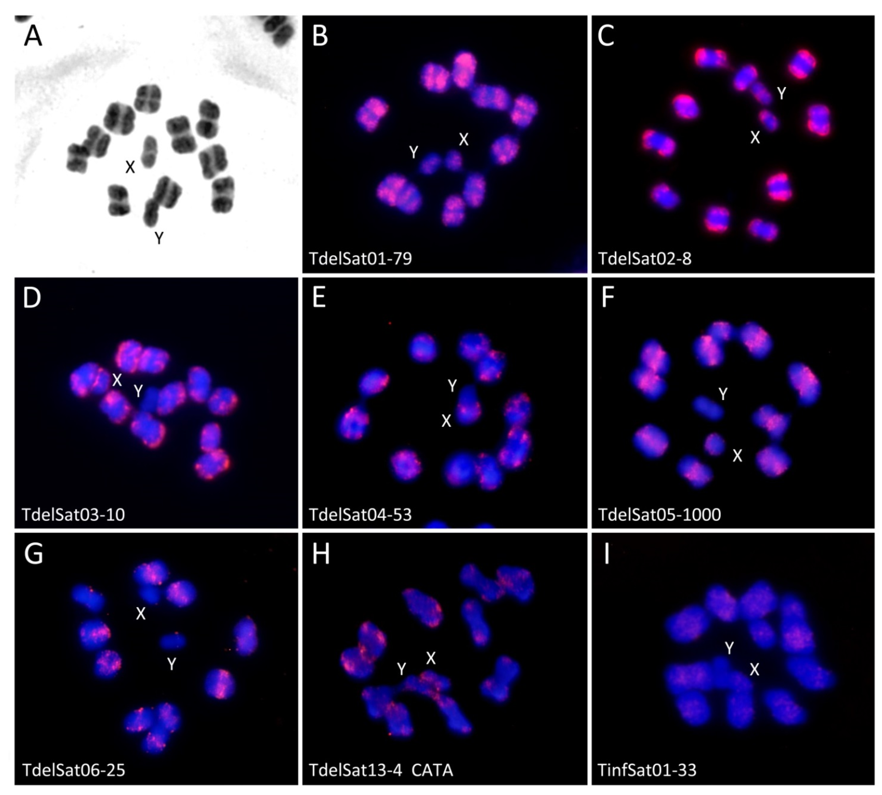 Genes 14 00371 g005 Genes 14 00371 g005