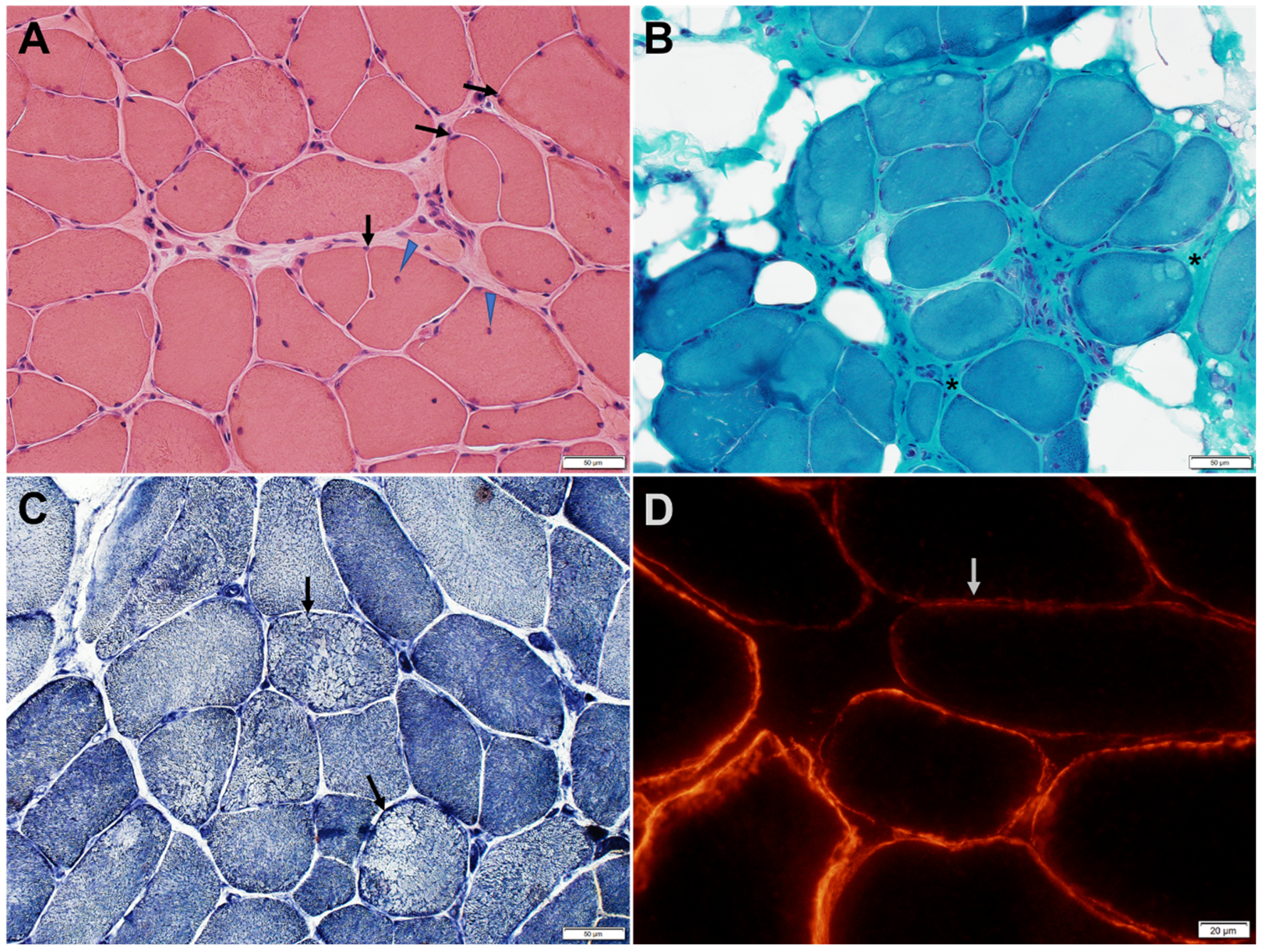 Genes 14 00372 g003 Genes 14 00372 g003
