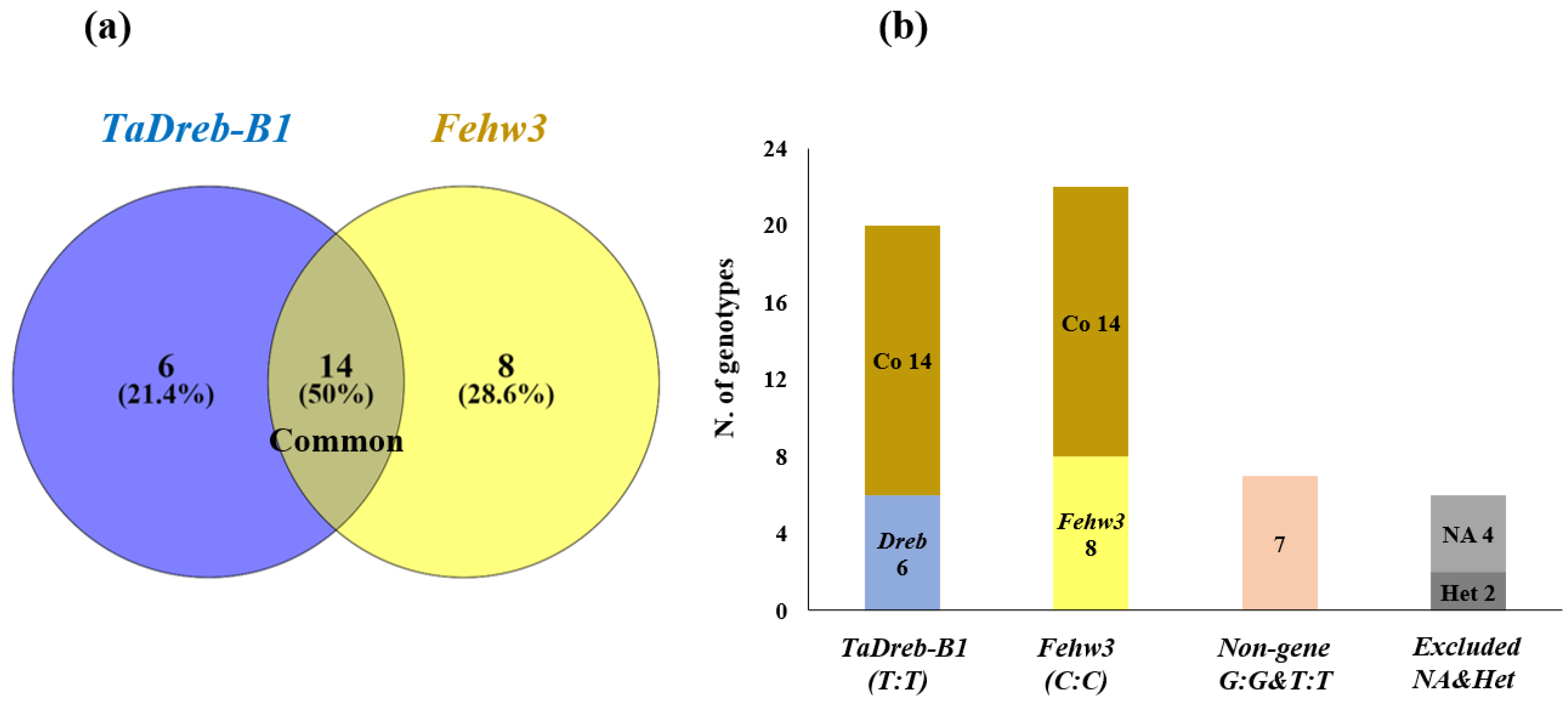 Genes 14 00373 g004 Genes 14 00373 g004