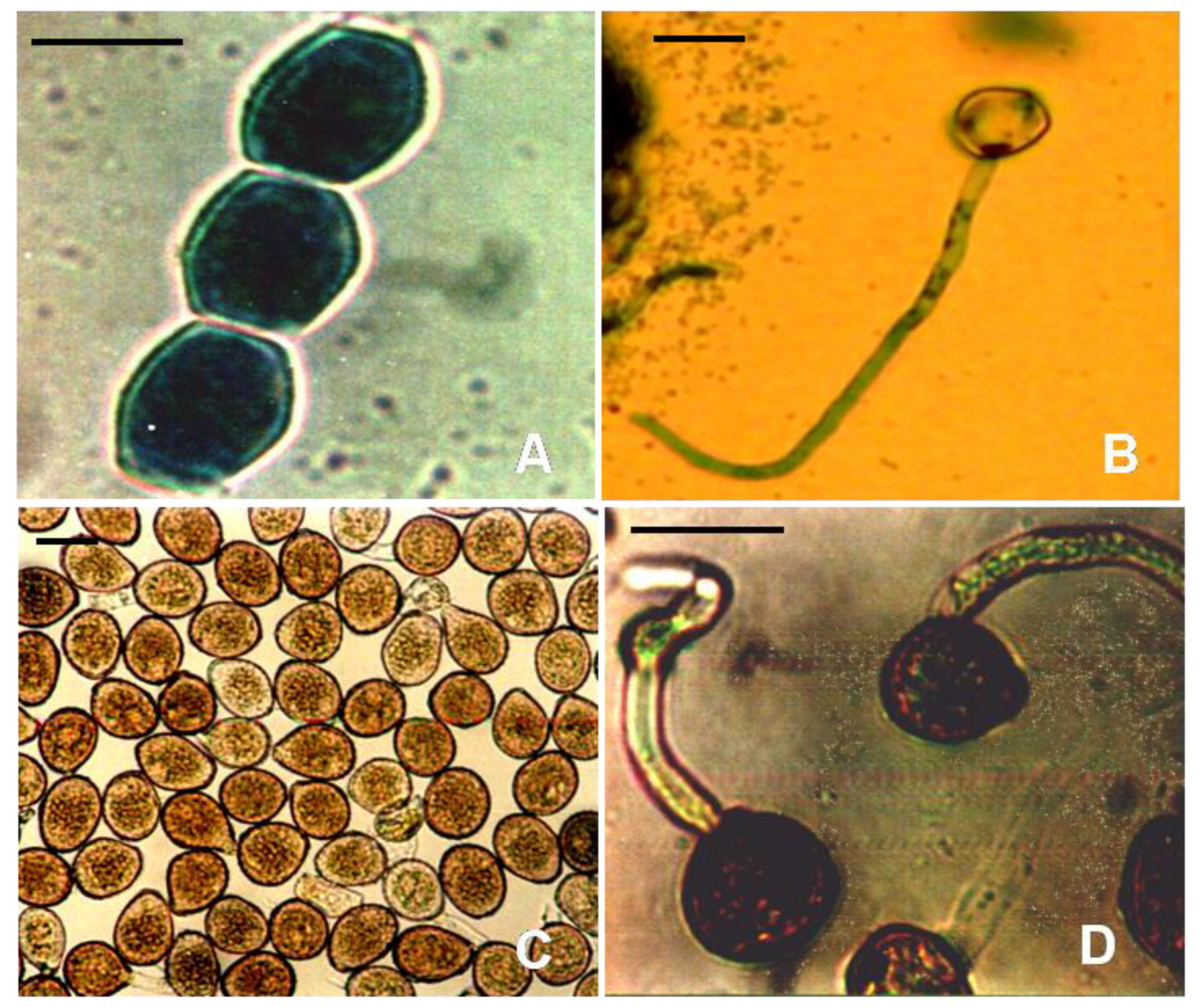 Genes 14 00374 g004 Genes 14 00374 g004