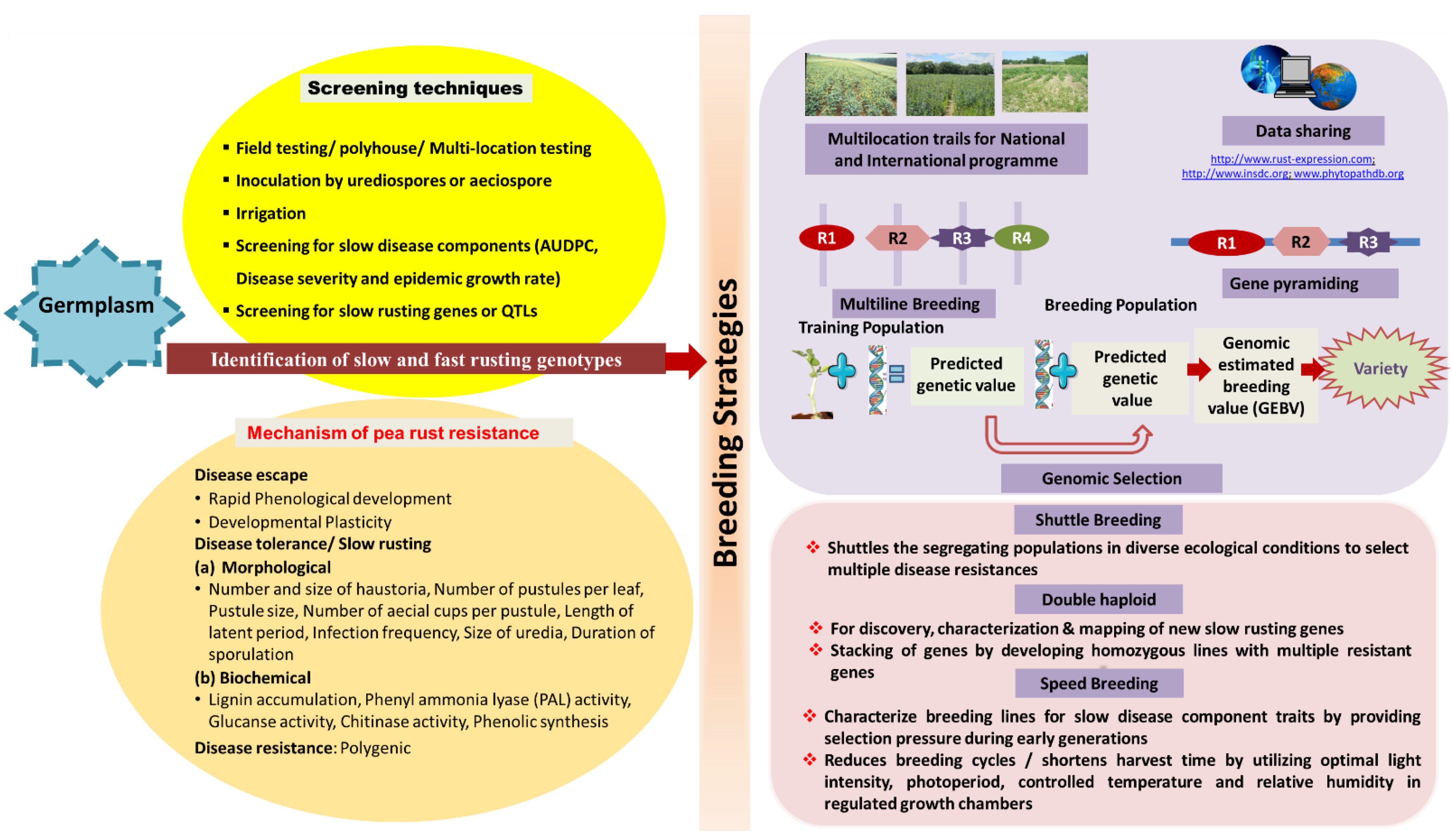 Genes 14 00374 g007 Genes 14 00374 g007