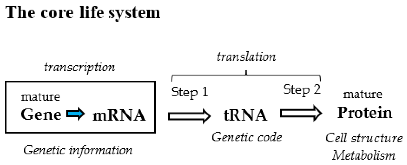 Genes 14 00375 g001 Genes 14 00375 g001