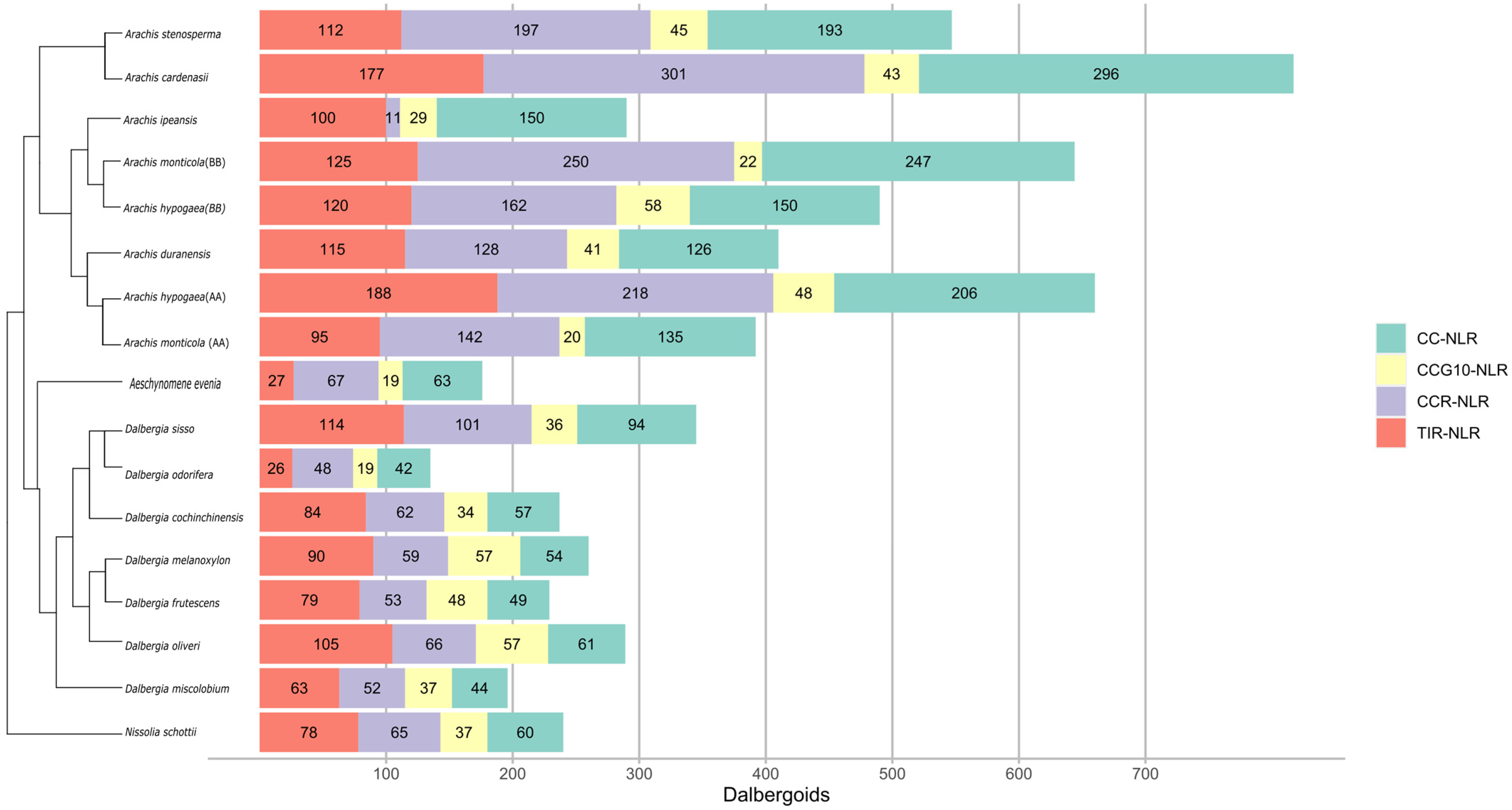 Genes 14 00377 g001 Genes 14 00377 g001