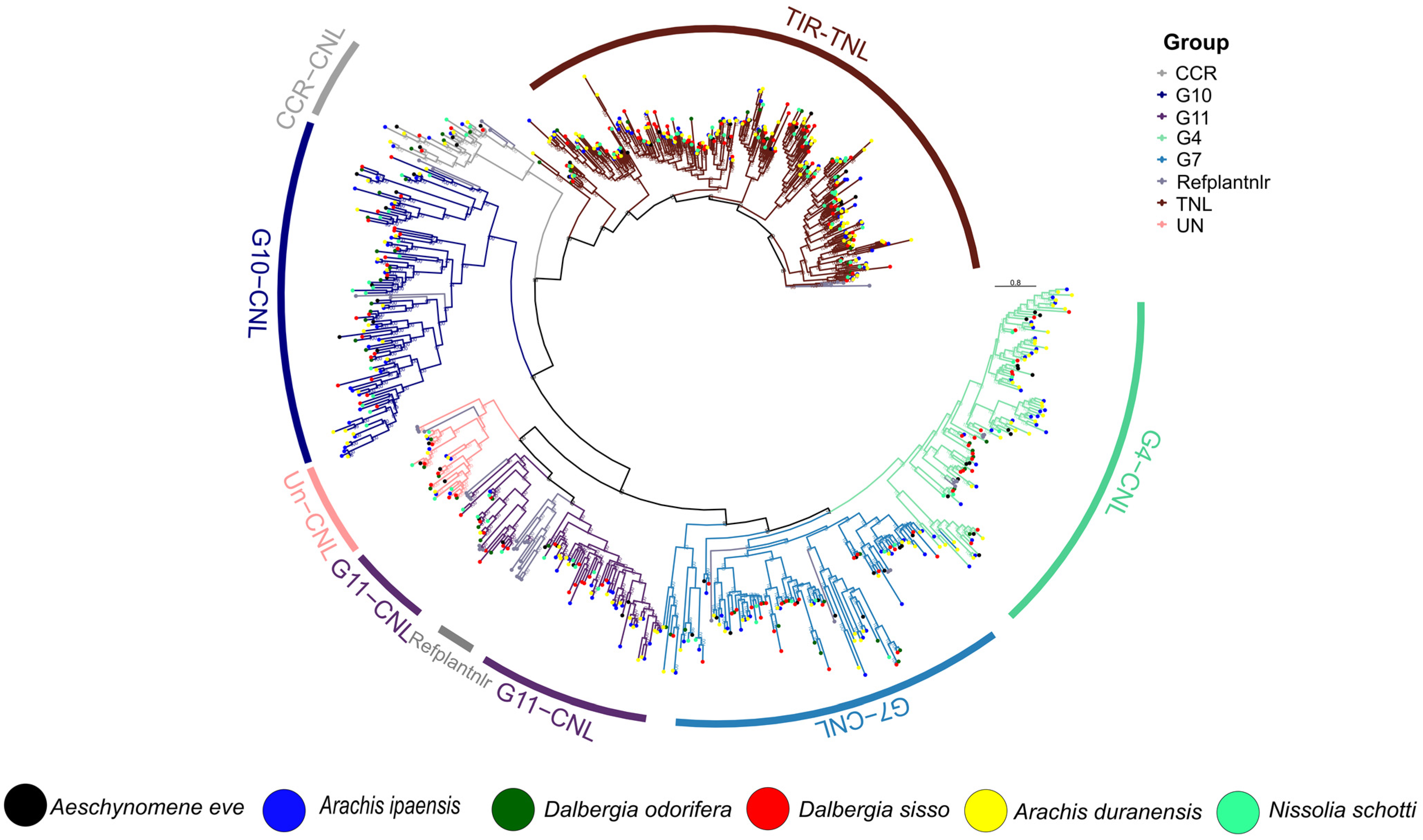 Genes 14 00377 g003 Genes 14 00377 g003