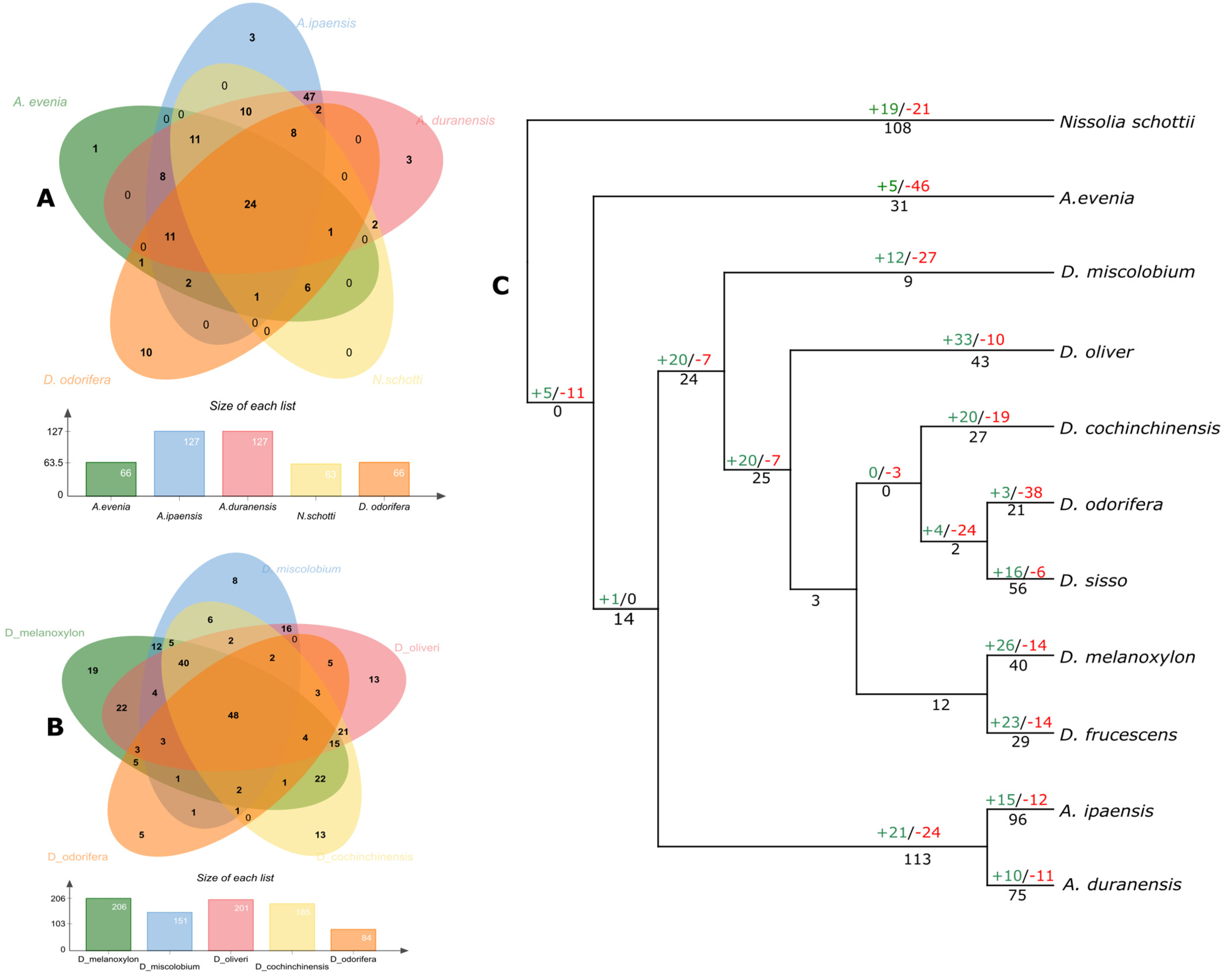 Genes 14 00377 g004 Genes 14 00377 g004