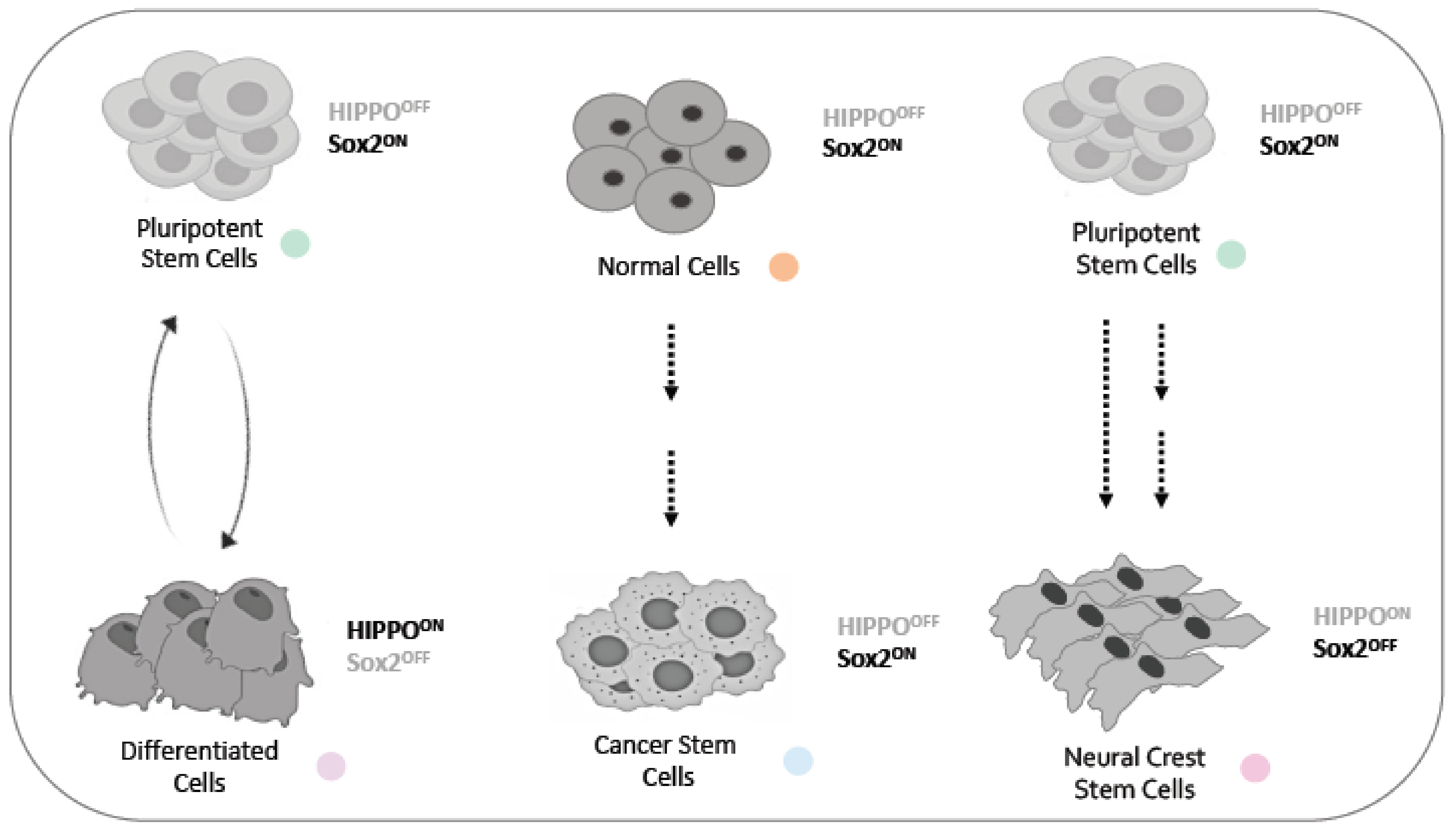 Genes 14 00380 g002 Genes 14 00380 g002