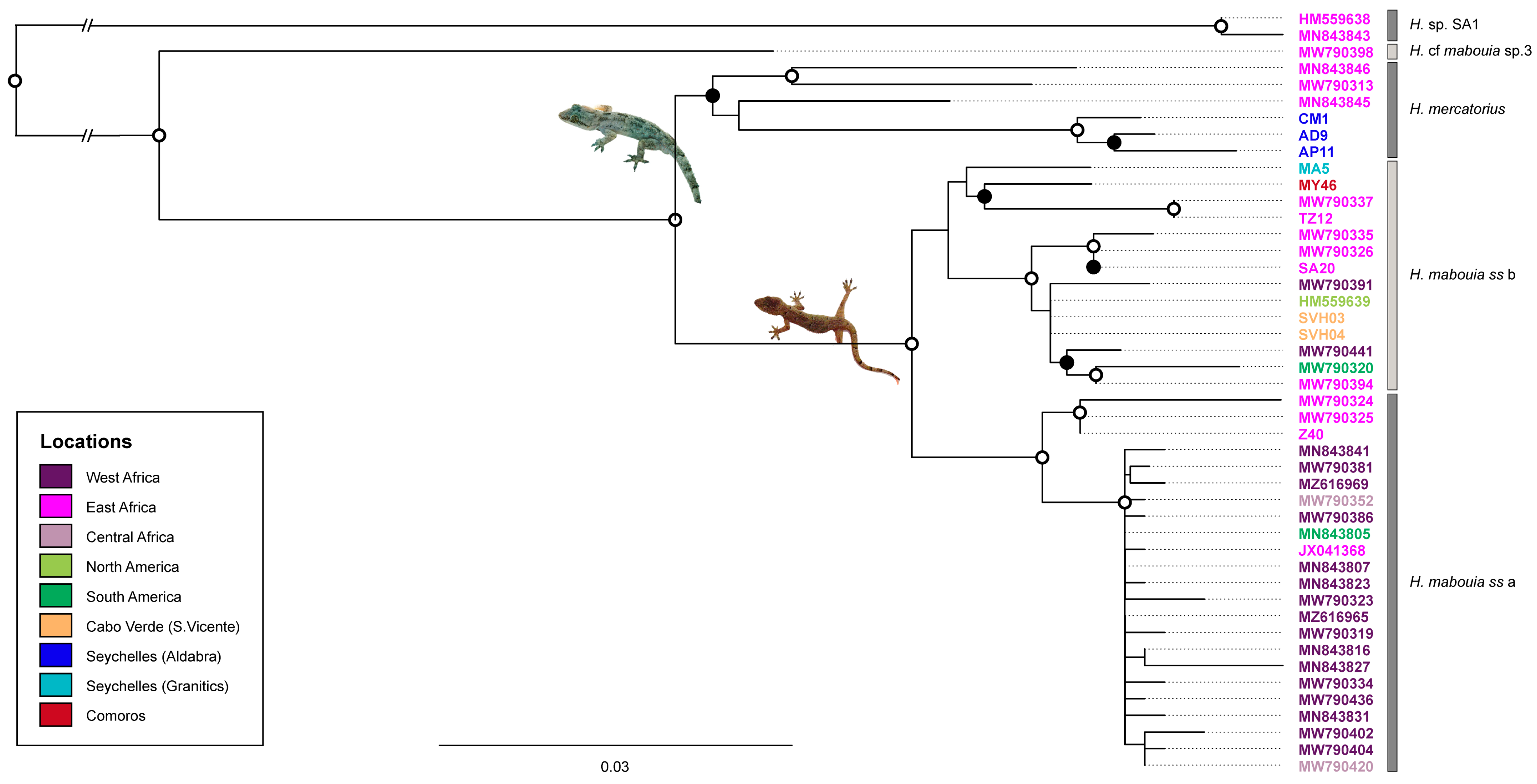 Genes 14 00381 g002 Genes 14 00381 g002