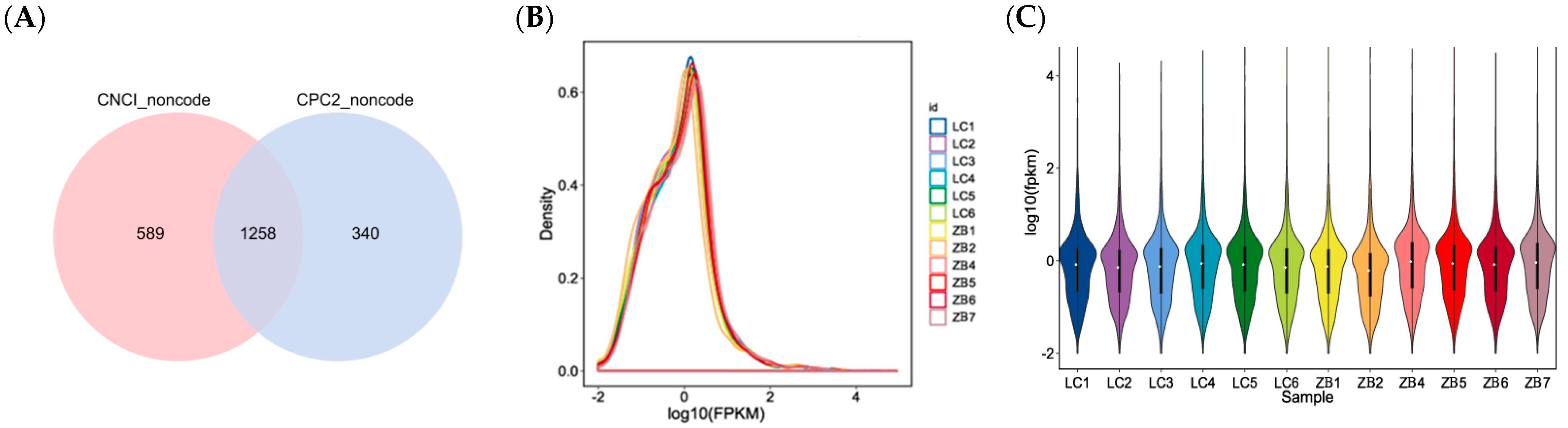 Genes 14 00384 g001 Genes 14 00384 g001
