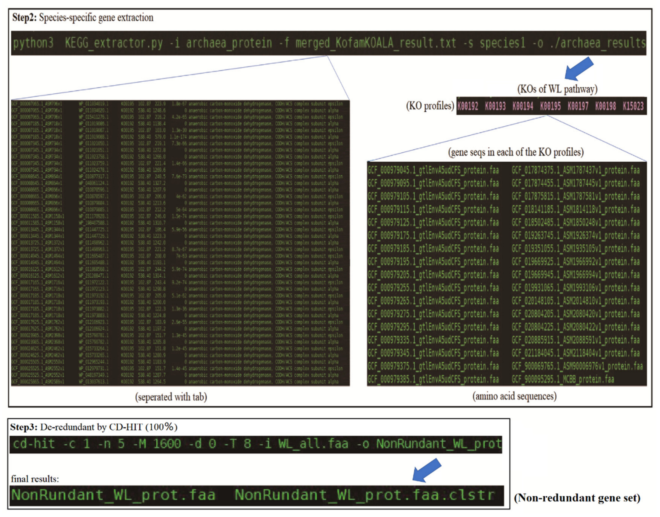 Genes 14 00386 g003 Genes 14 00386 g003