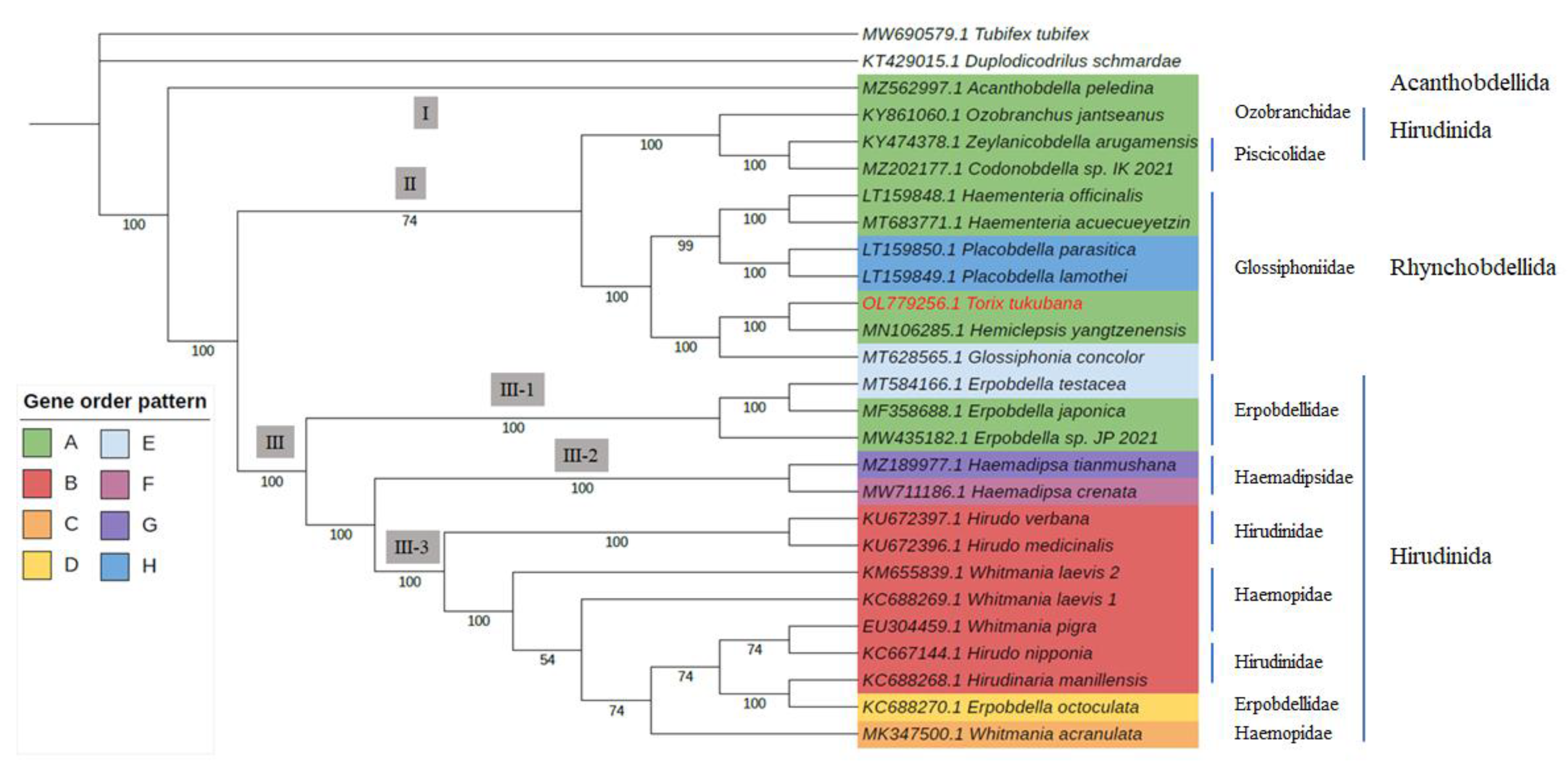 Genes 14 00388 g004 Genes 14 00388 g004
