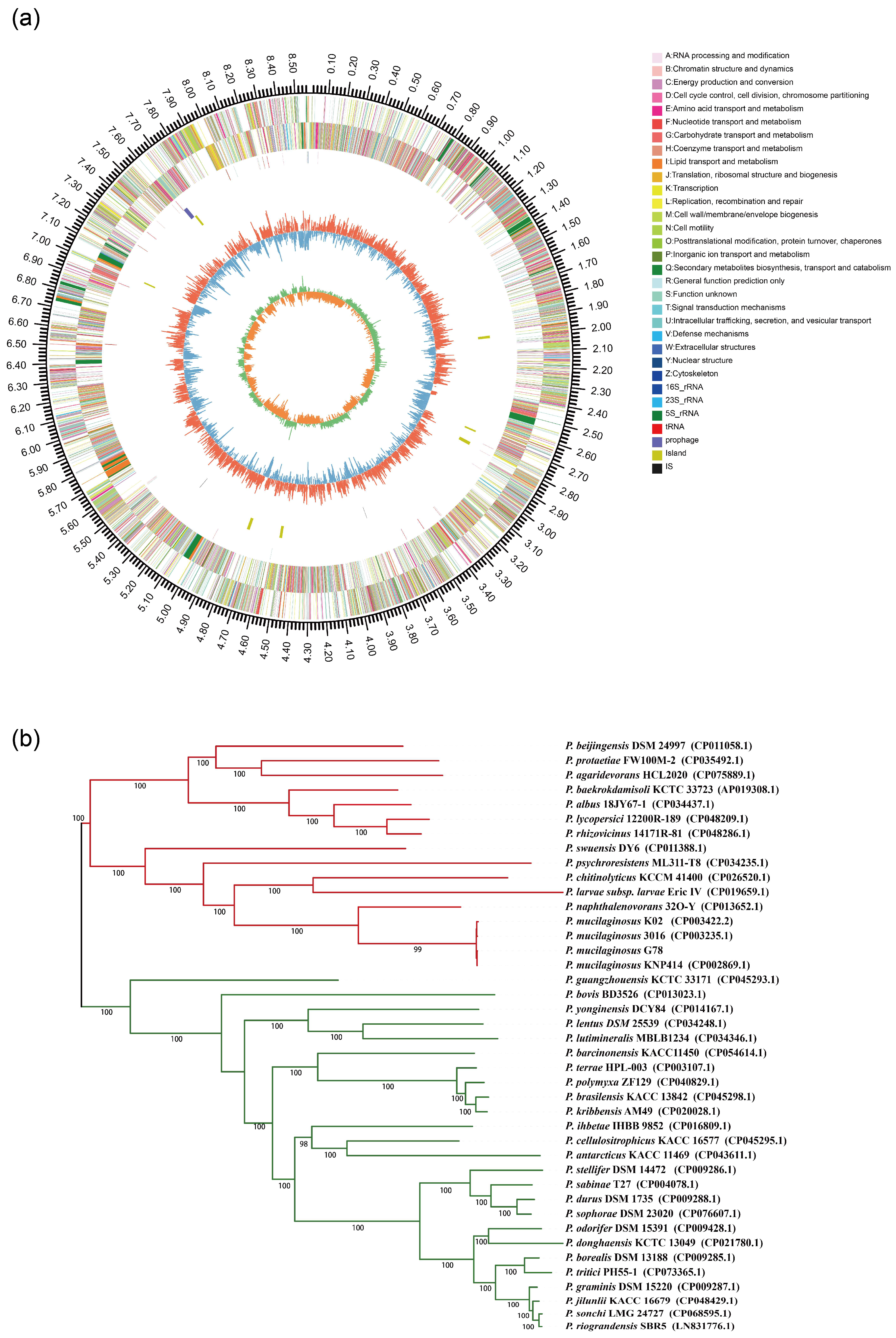 Genes 14 00392 g002 Genes 14 00392 g002