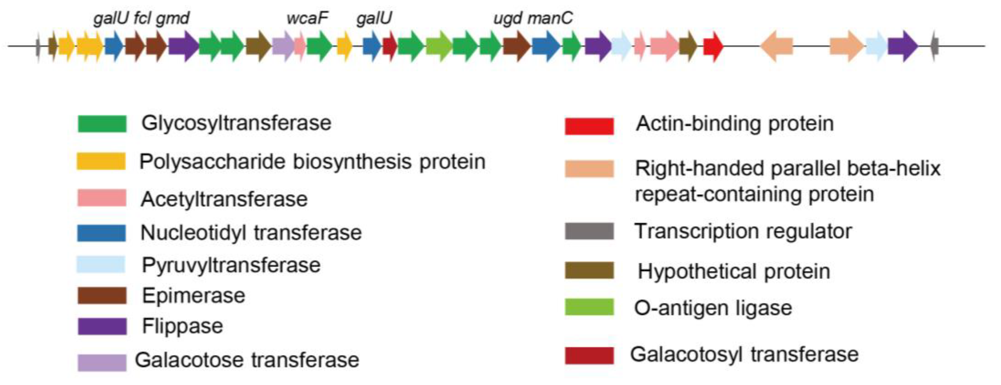 Genes 14 00392 g003 Genes 14 00392 g003