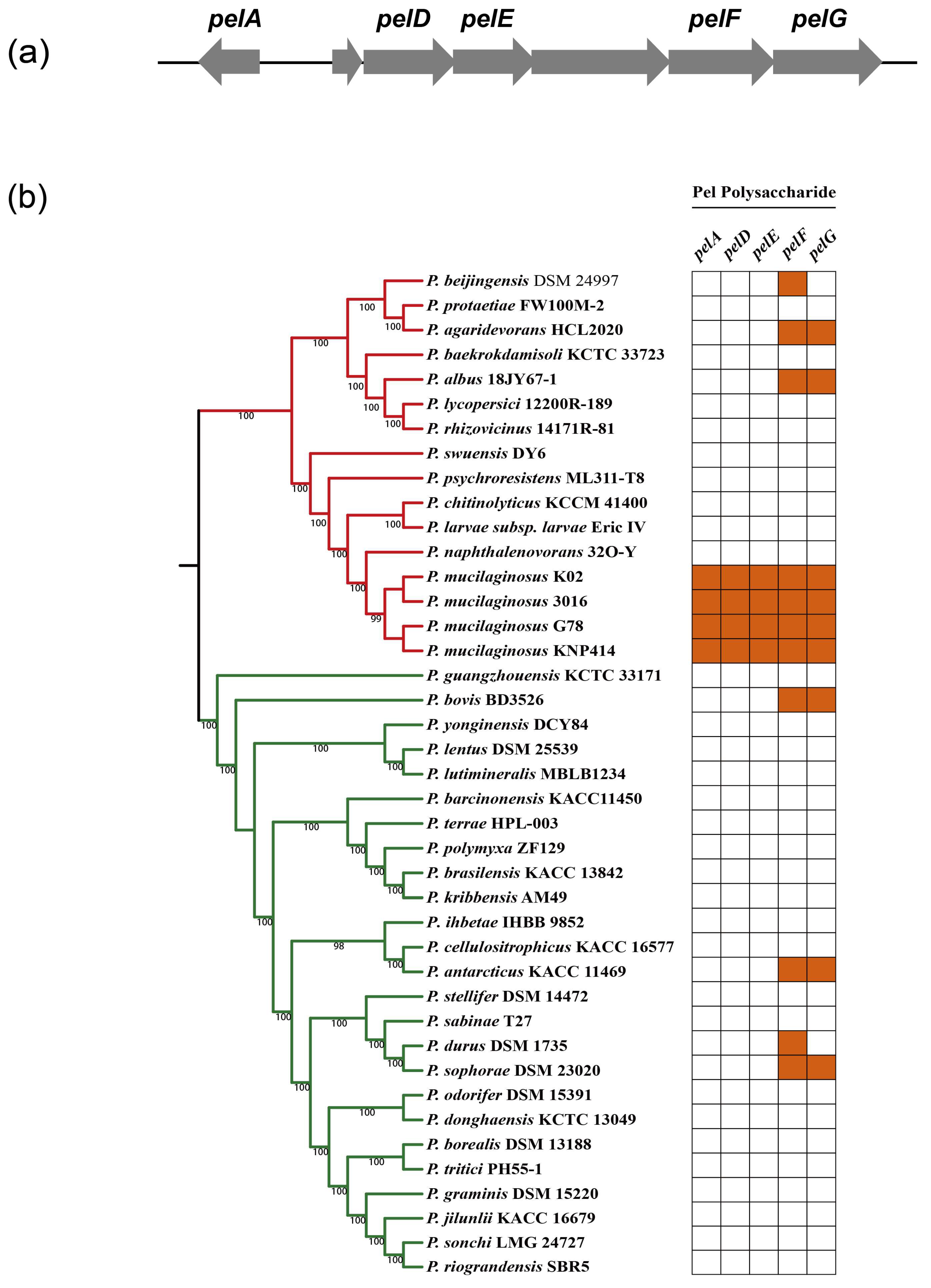 Genes 14 00392 g004 Genes 14 00392 g004