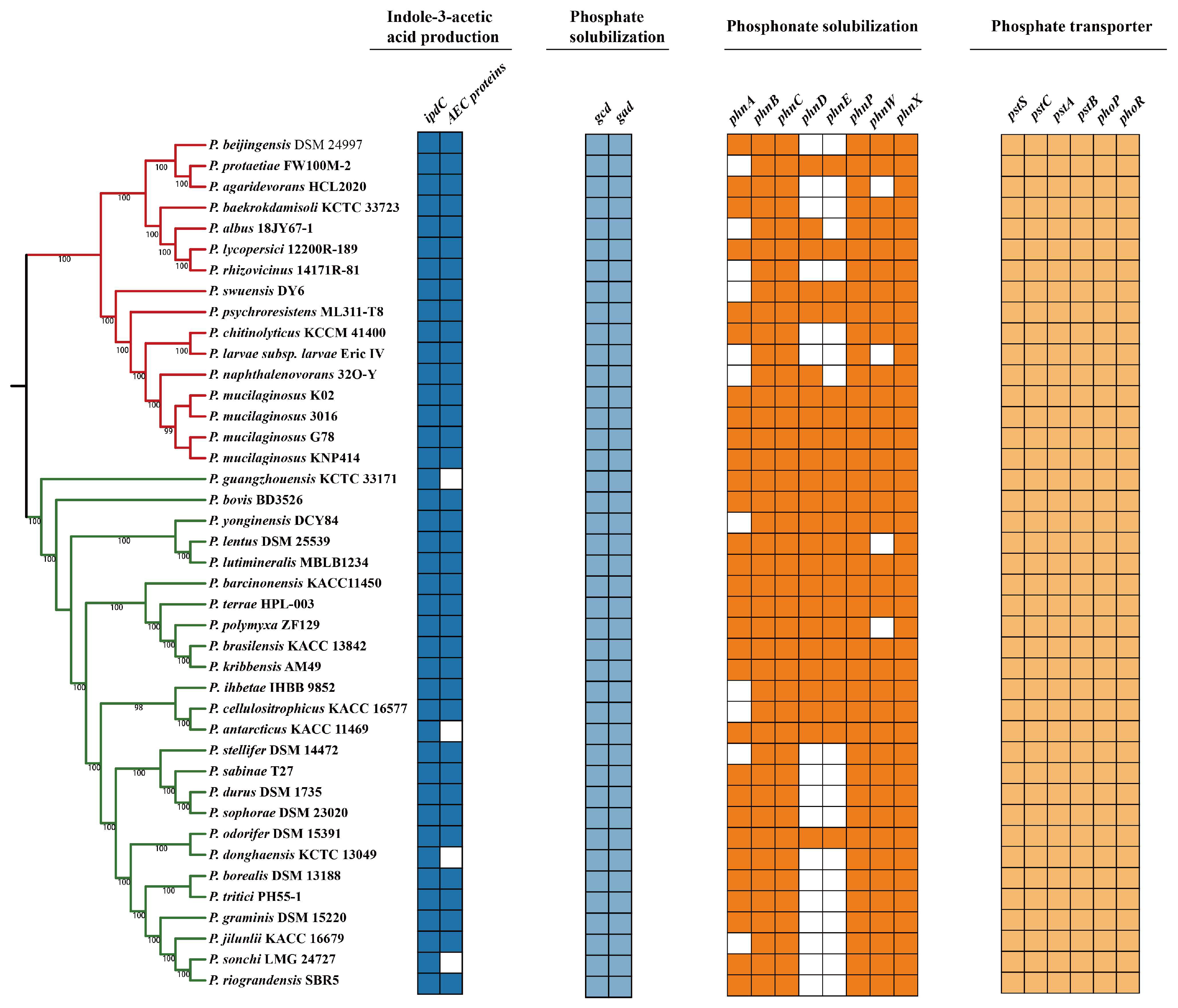 Genes 14 00392 g005 Genes 14 00392 g005