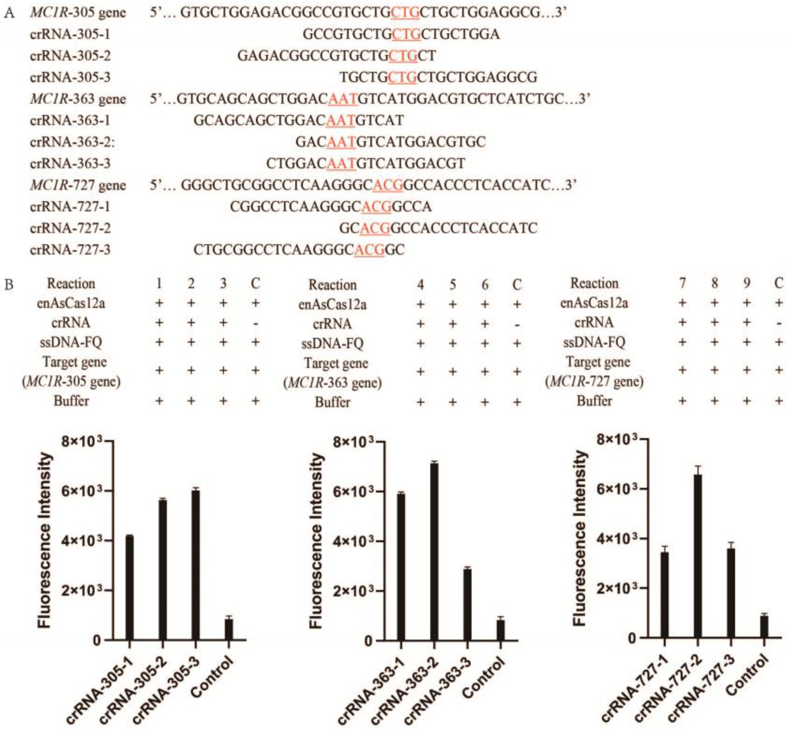 Genes 14 00394 g002 Genes 14 00394 g002