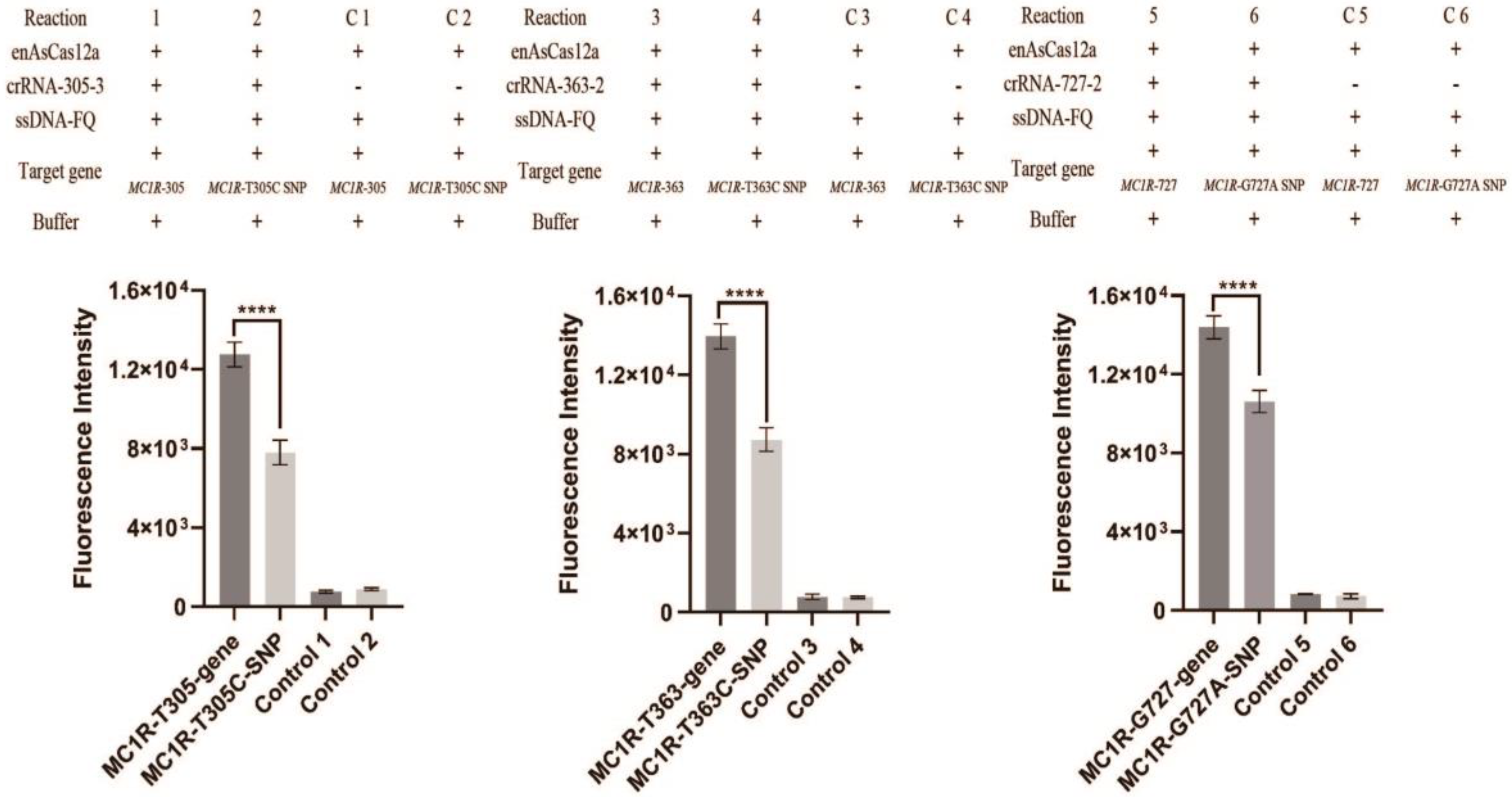 Genes 14 00394 g004 Genes 14 00394 g004